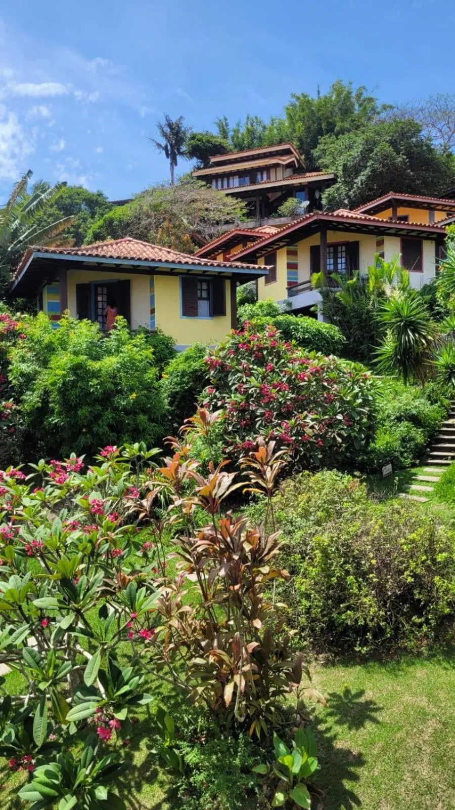 Property building in Hibiscus Beach