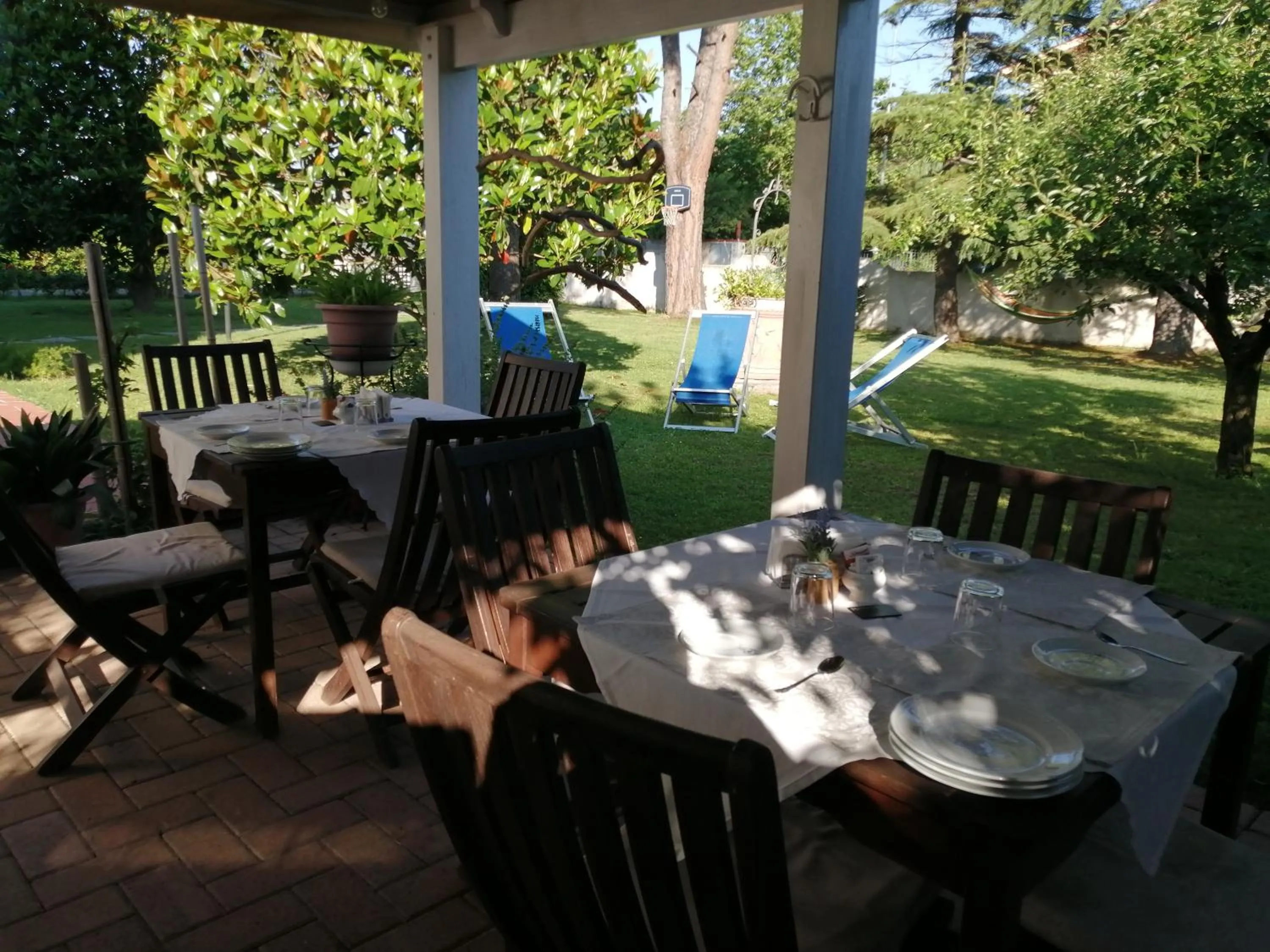 Garden in Villa Oasi