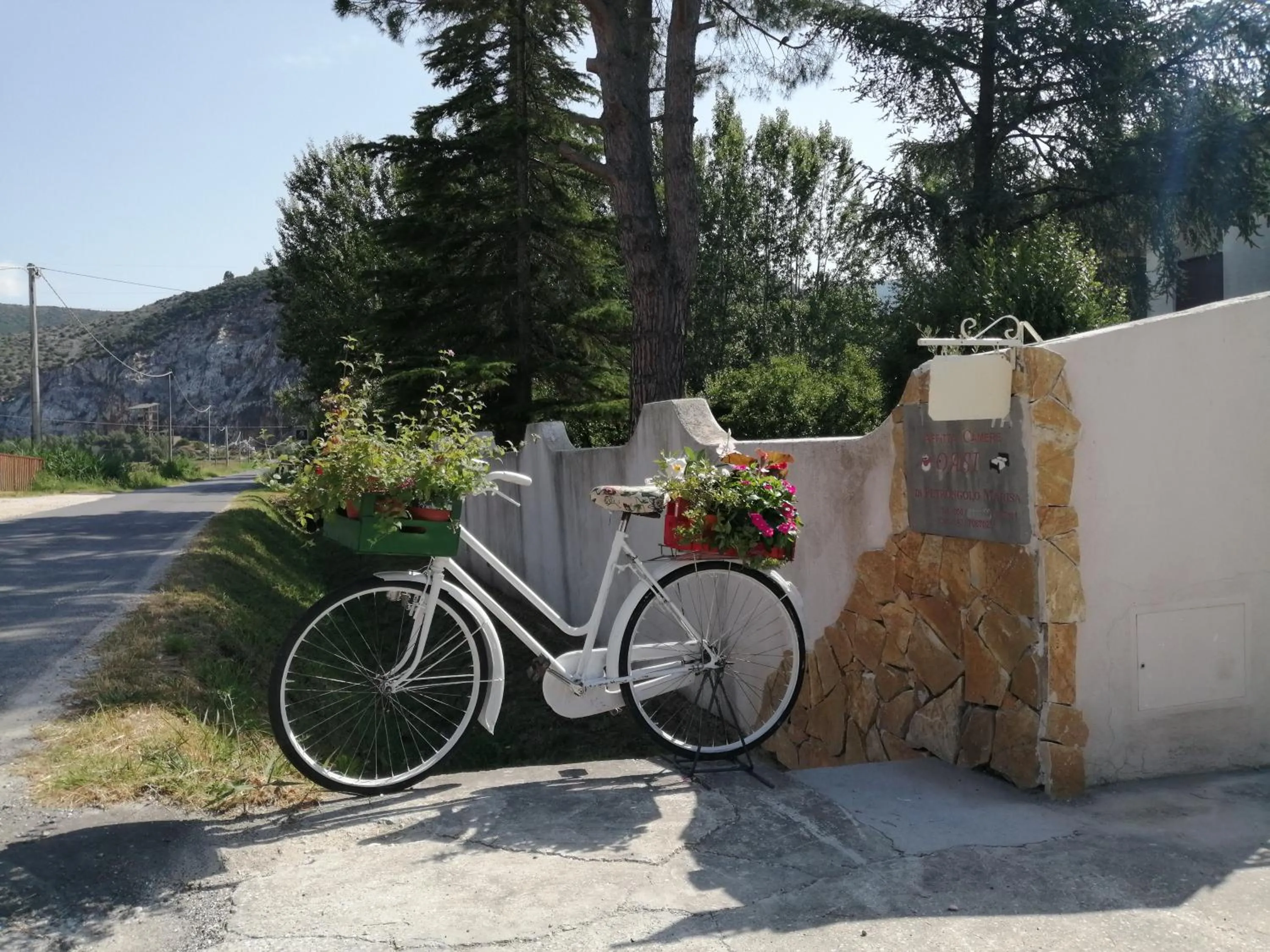 Cycling in Villa Oasi