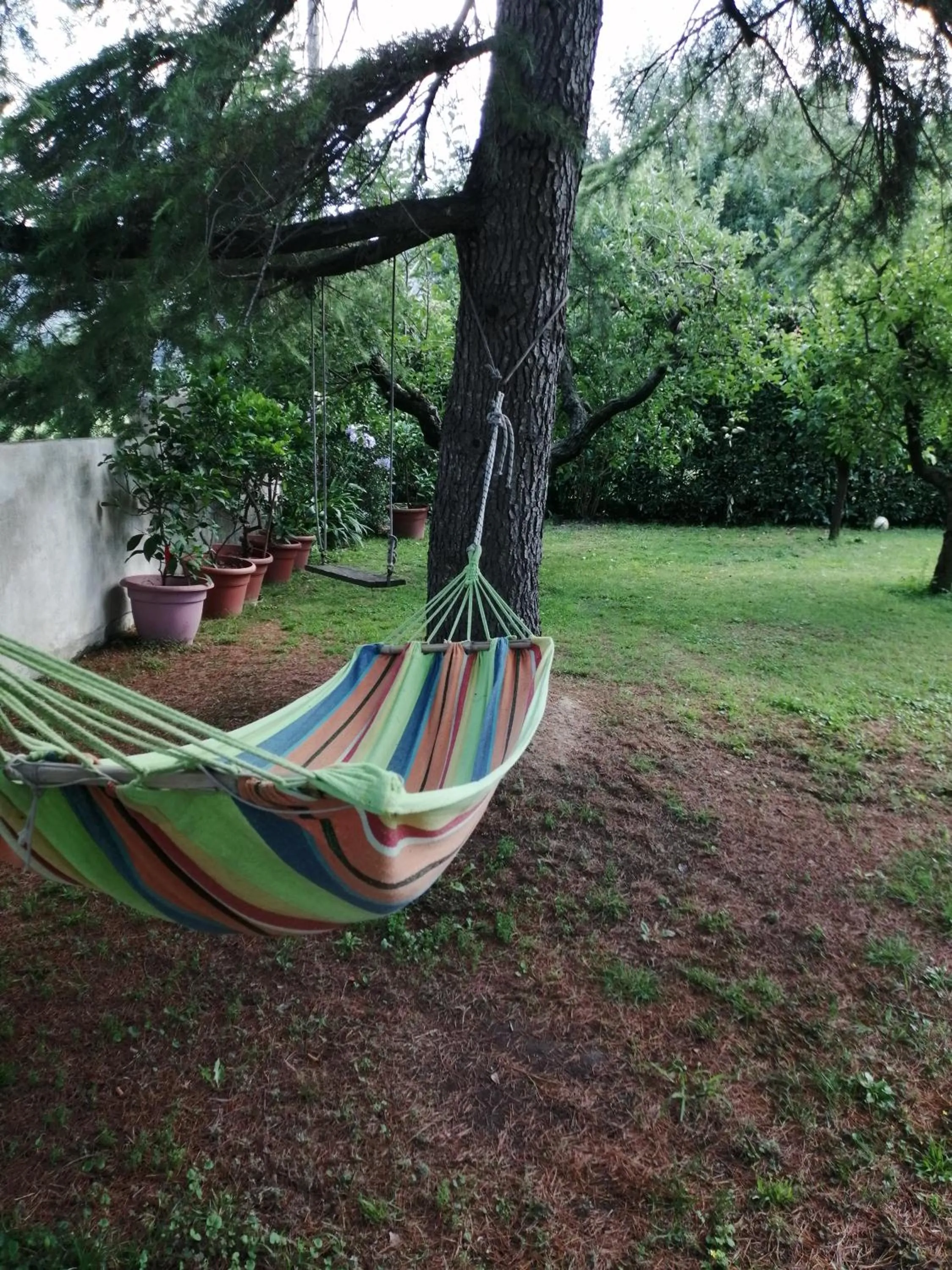 Garden in Villa Oasi