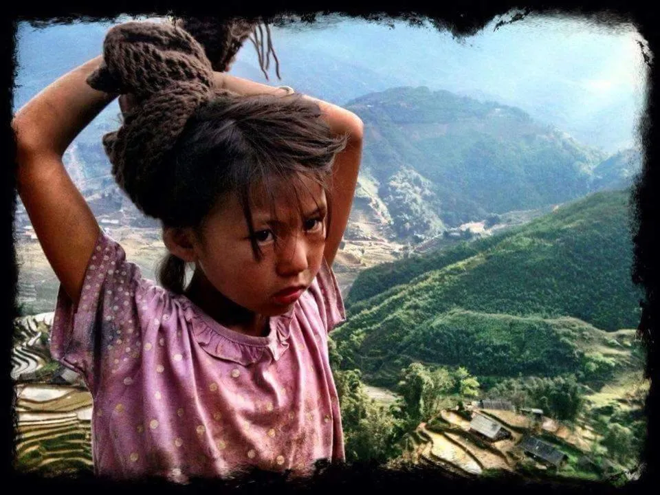 Luckydaisy Buffalo House