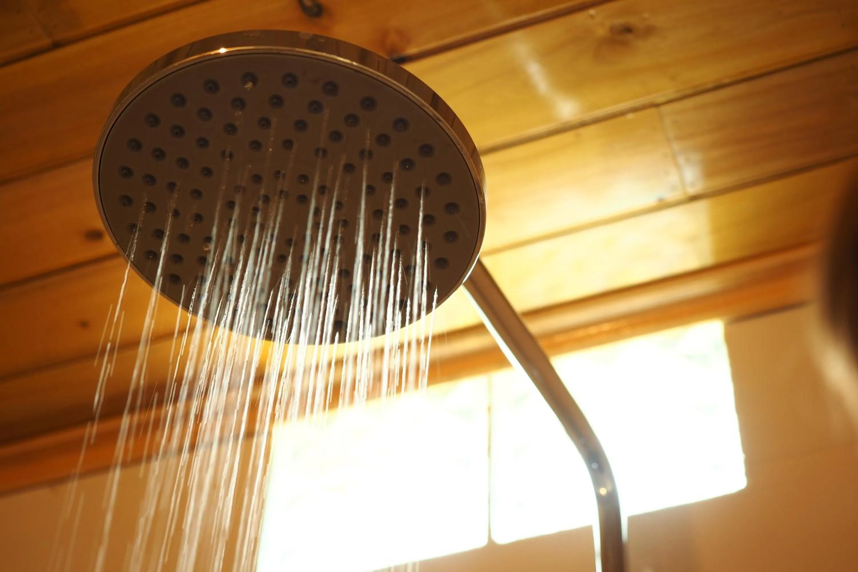 Luckydaisy Buffalo House