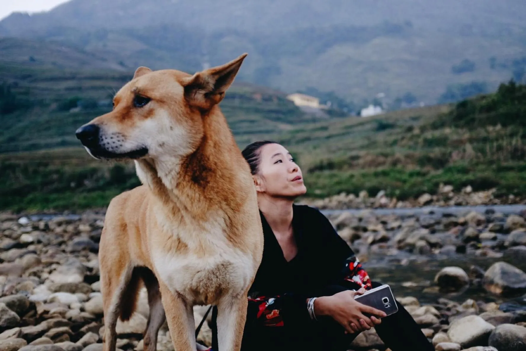 Other in Luckydaisy Buffalo House