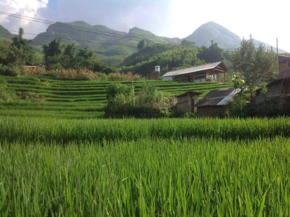 Luckydaisy Buffalo House