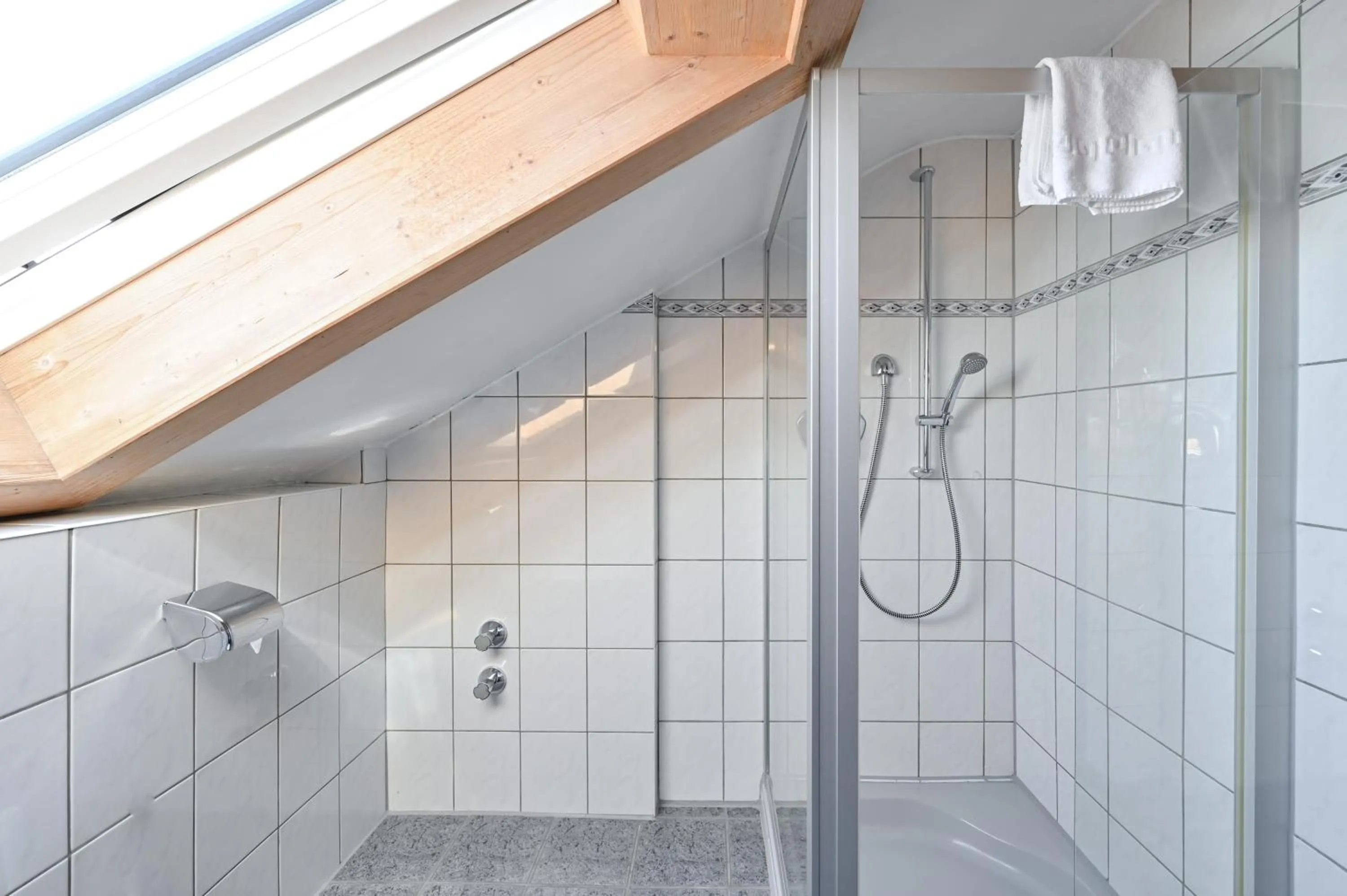 Shower in Pension Freiheit