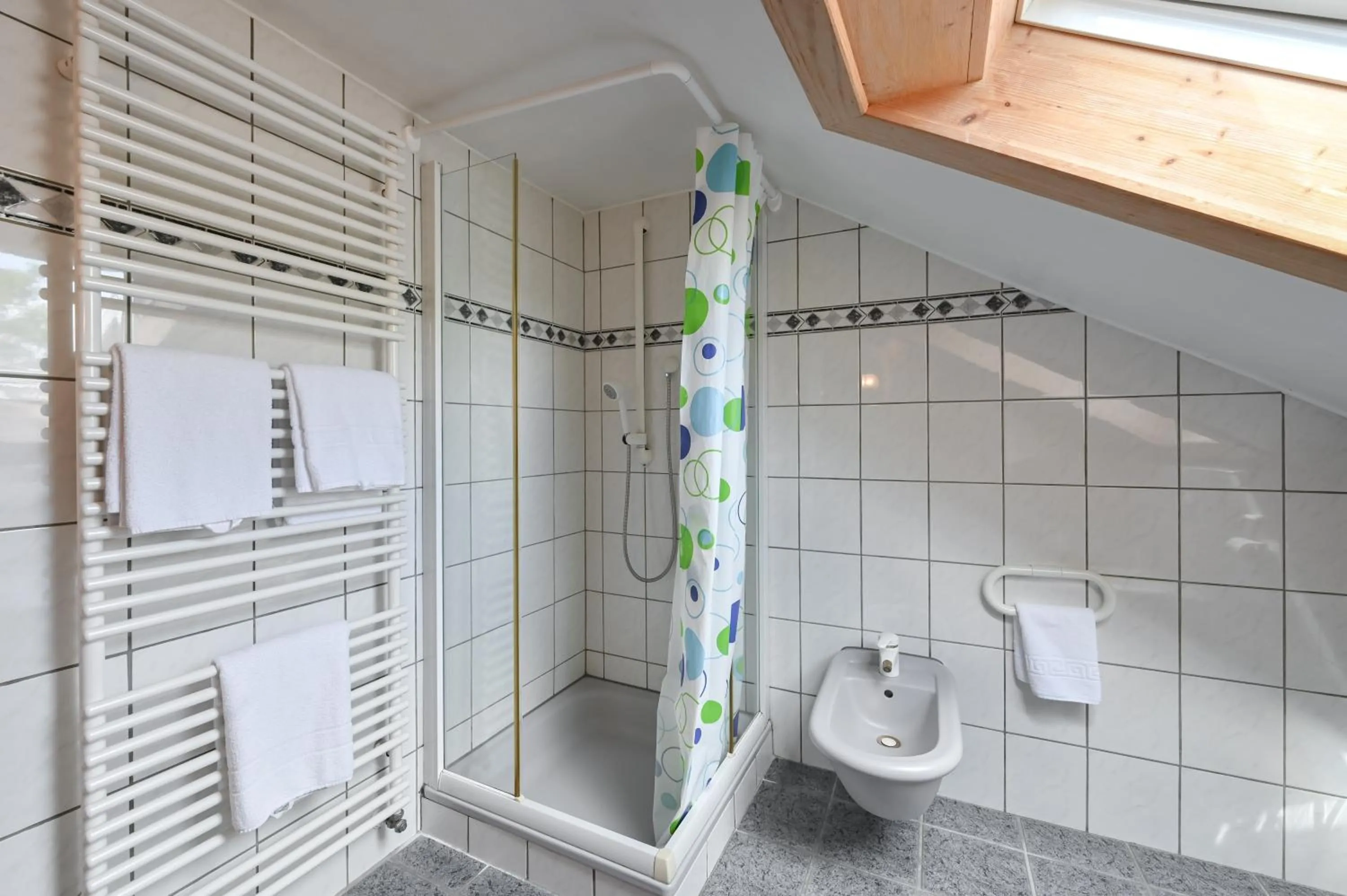 Shower in Pension Freiheit