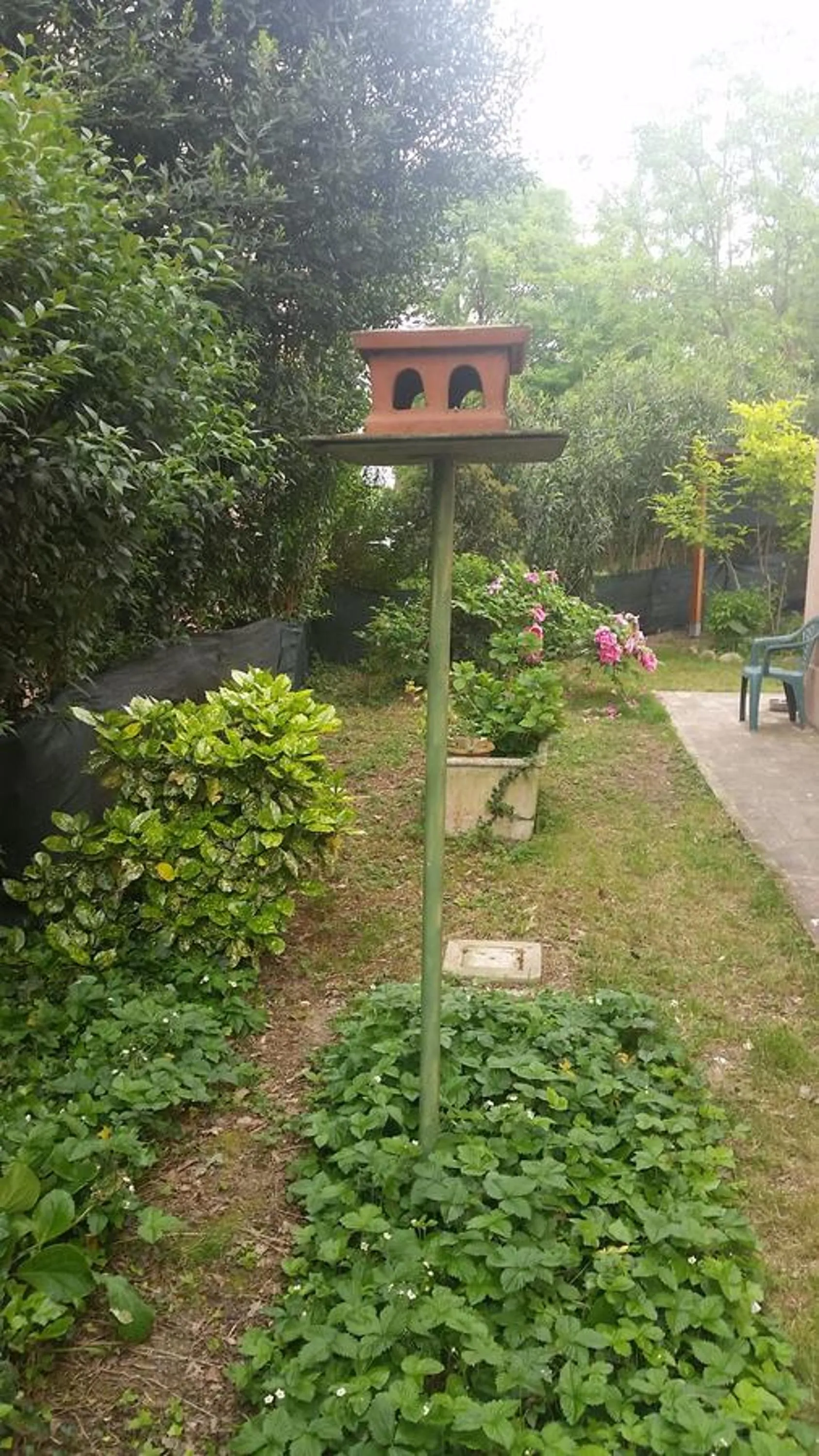 Garden in B&B La Palazza