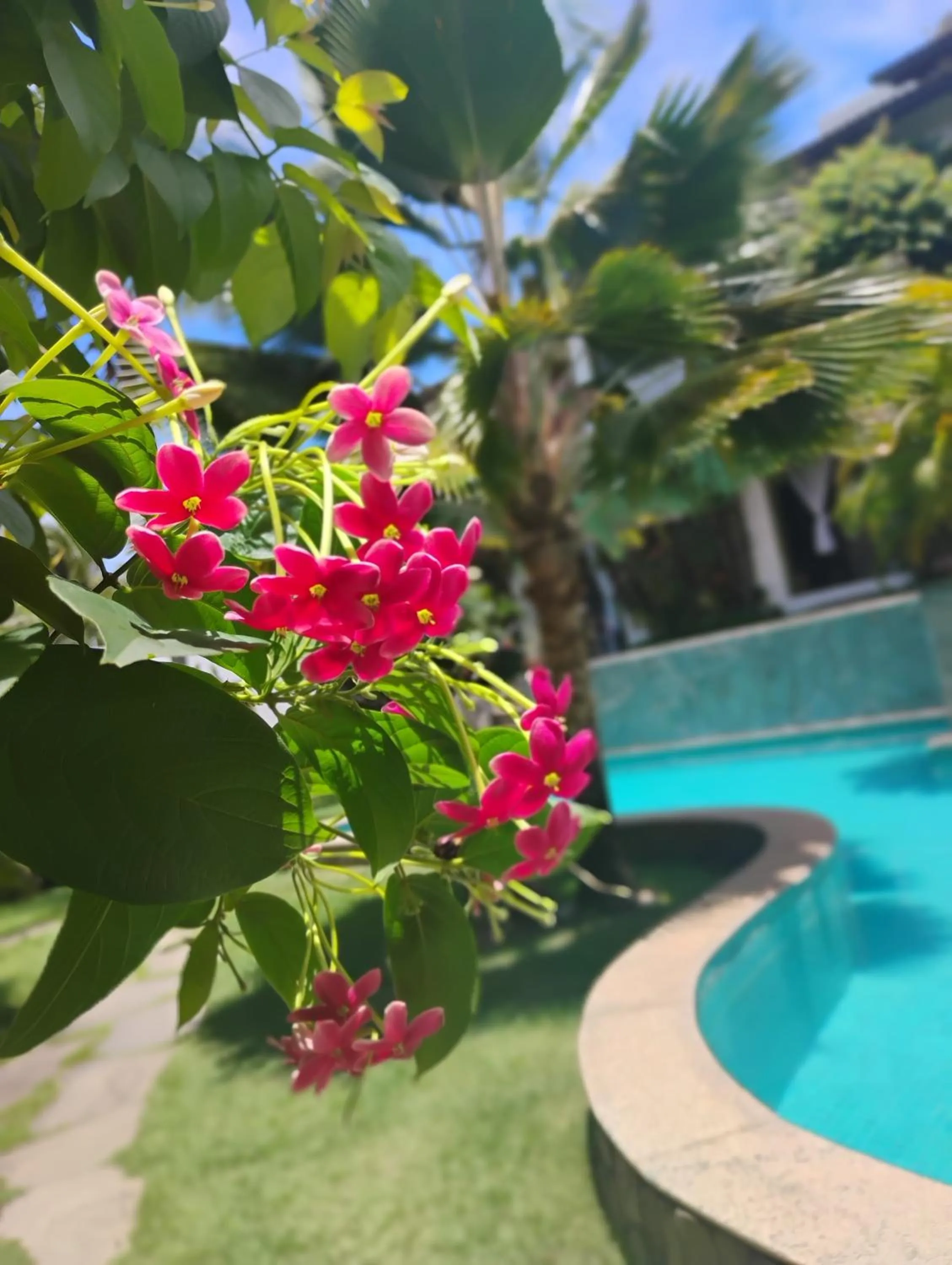 Garden in Flor da Mata