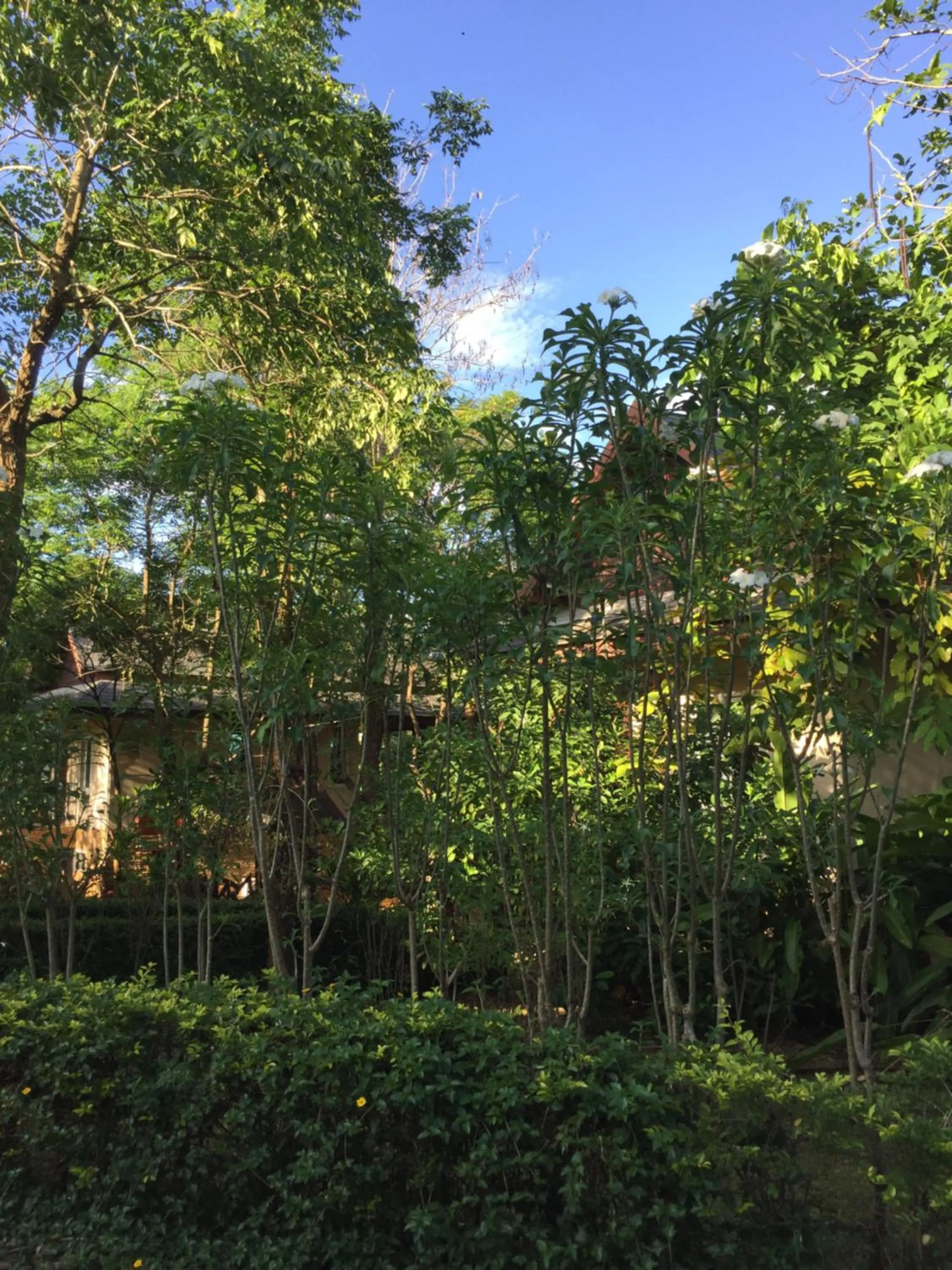 Khaoyai Nature Retreat