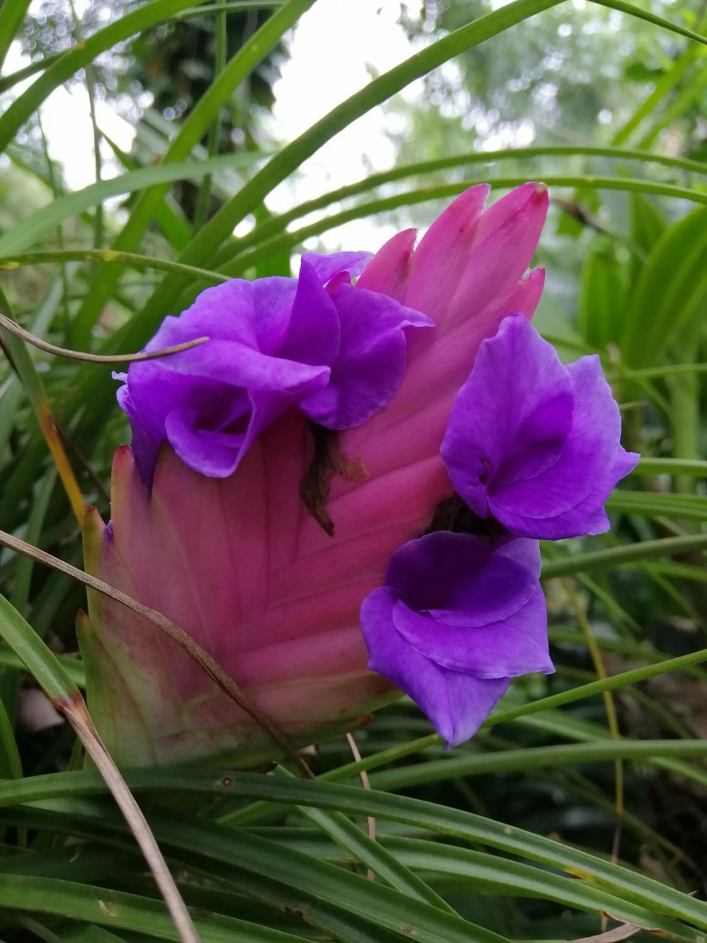 Khaoyai Nature Retreat