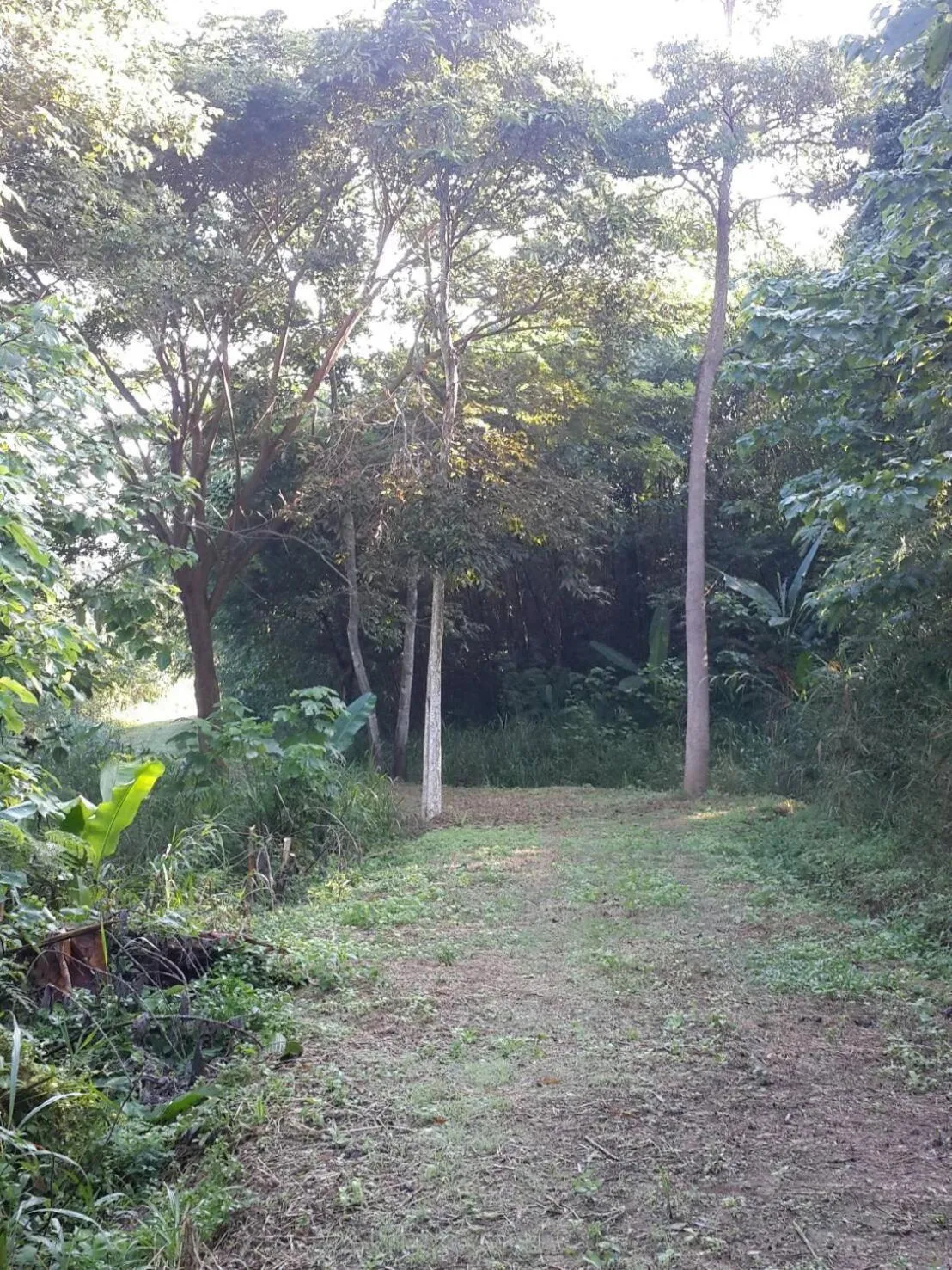 Khaoyai Nature Retreat