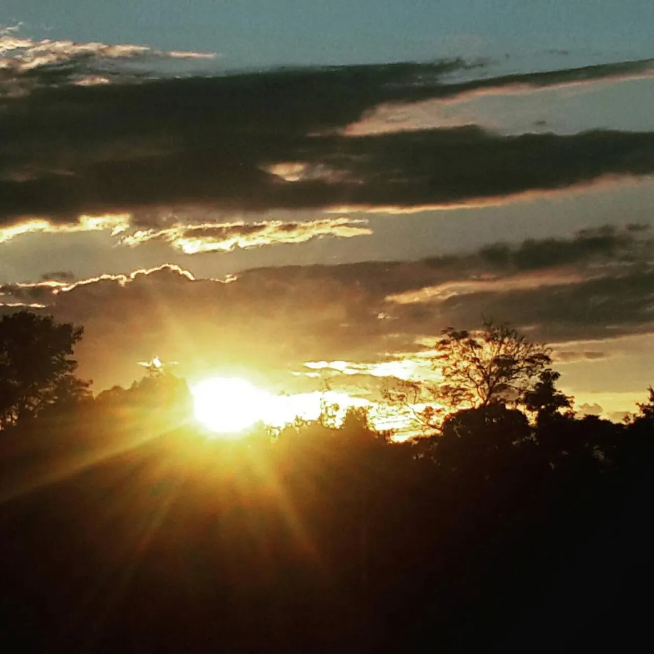 Khaoyai Nature Retreat