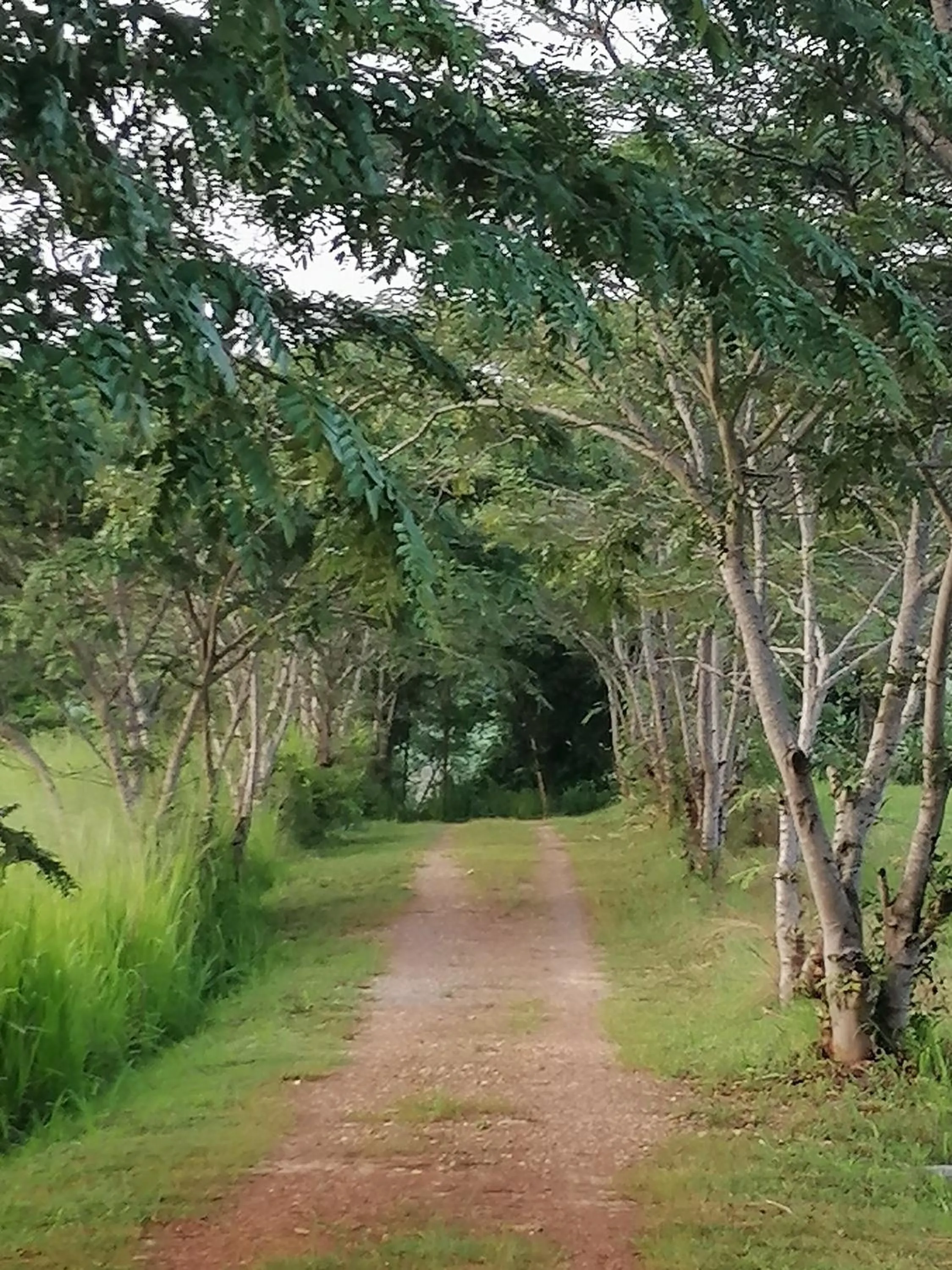 Khaoyai Nature Retreat