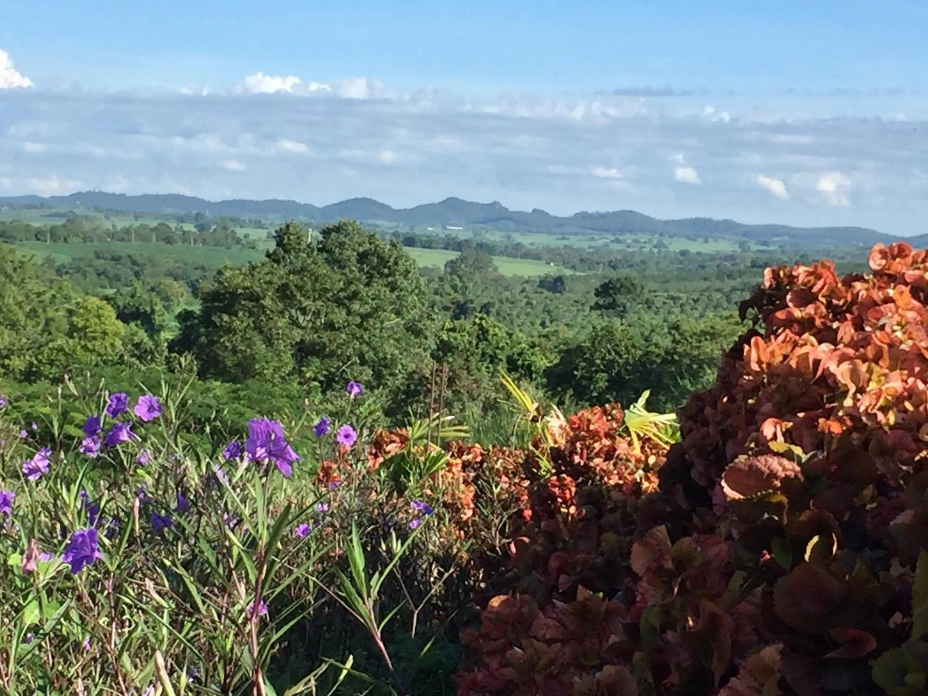 Khaoyai Nature Retreat