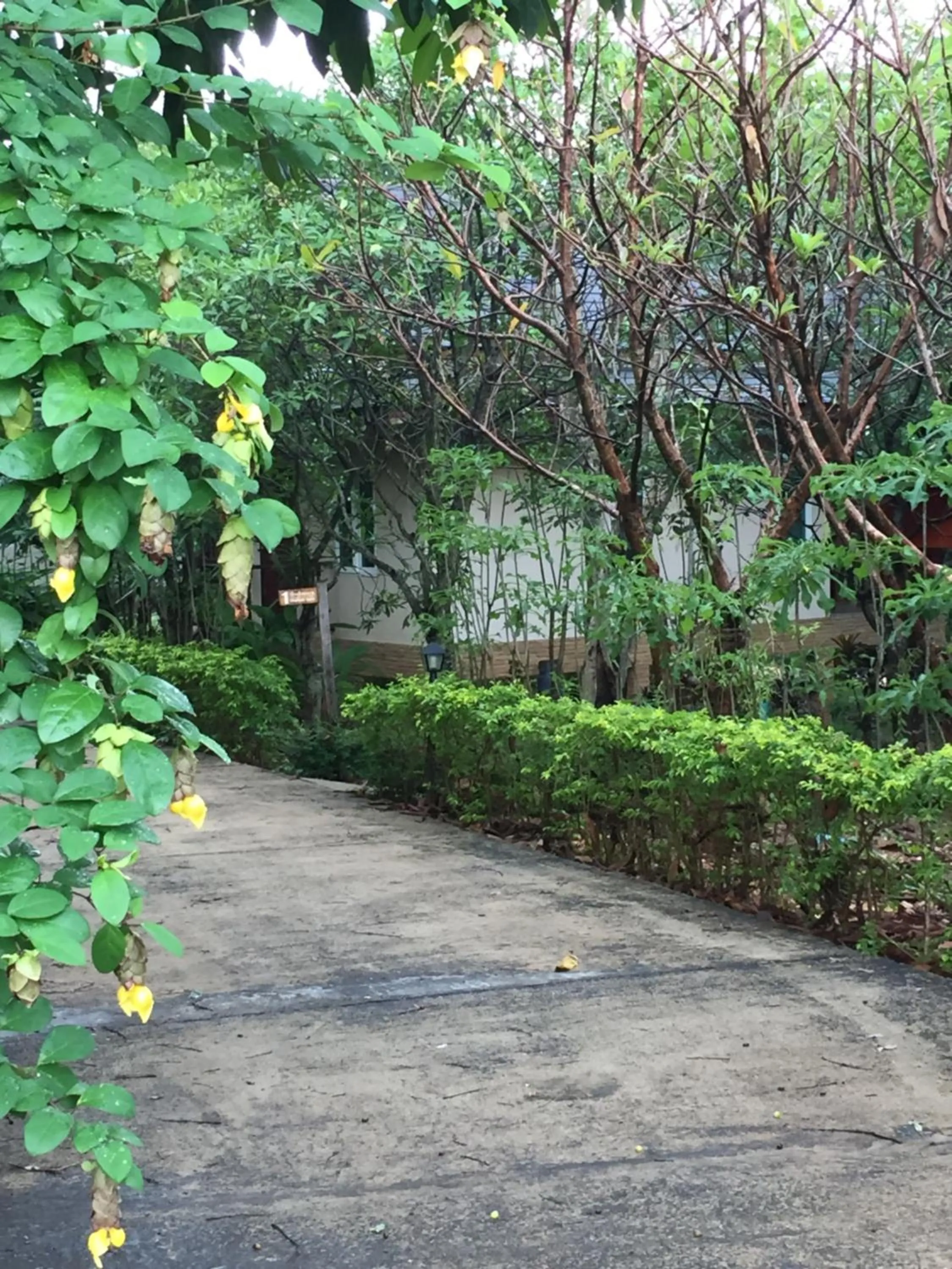 Khaoyai Nature Retreat