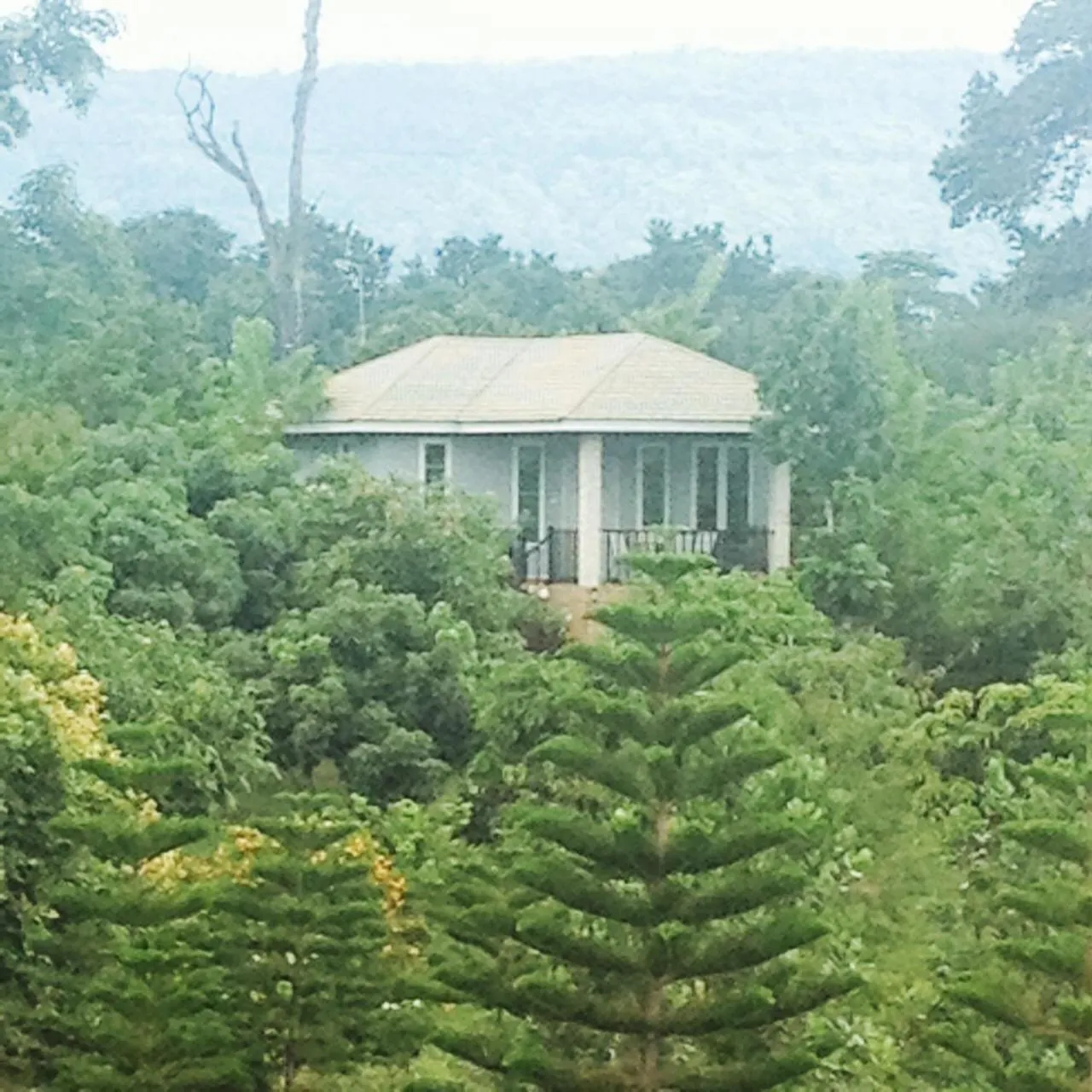 Area and facilities in Khaoyai Nature Retreat