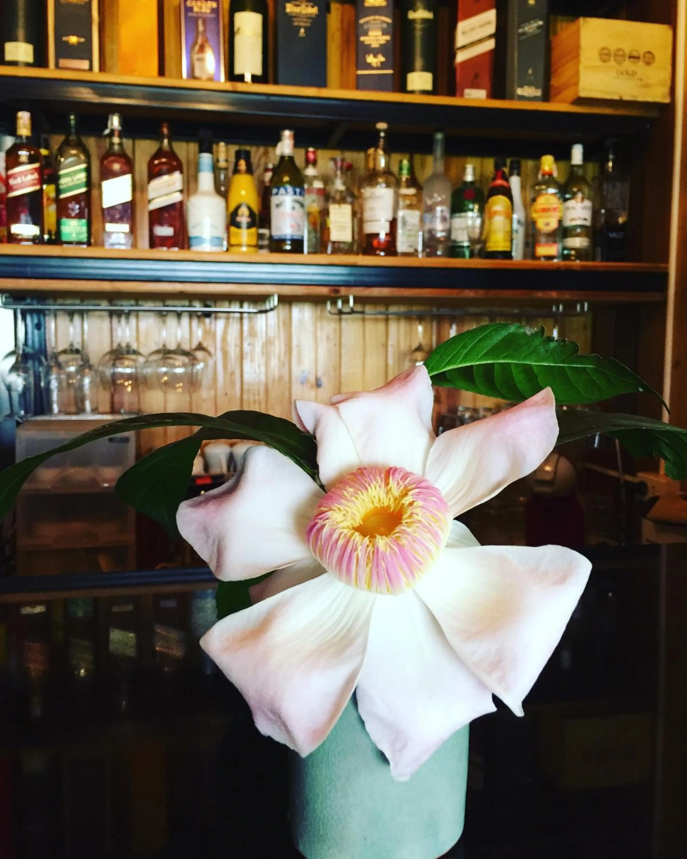 Khaoyai Nature Retreat