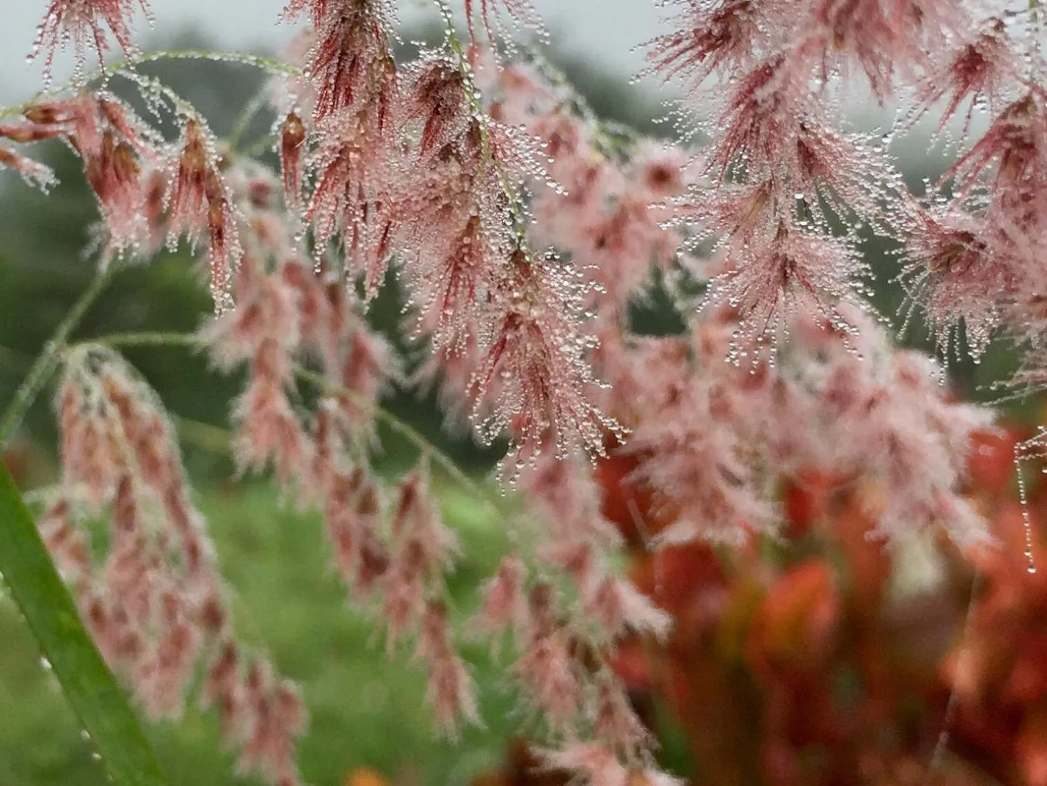 Khaoyai Nature Retreat