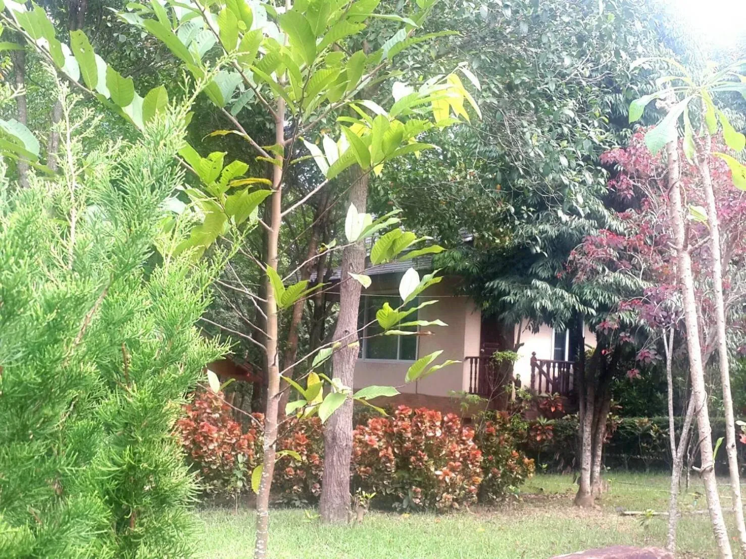 Khaoyai Nature Retreat