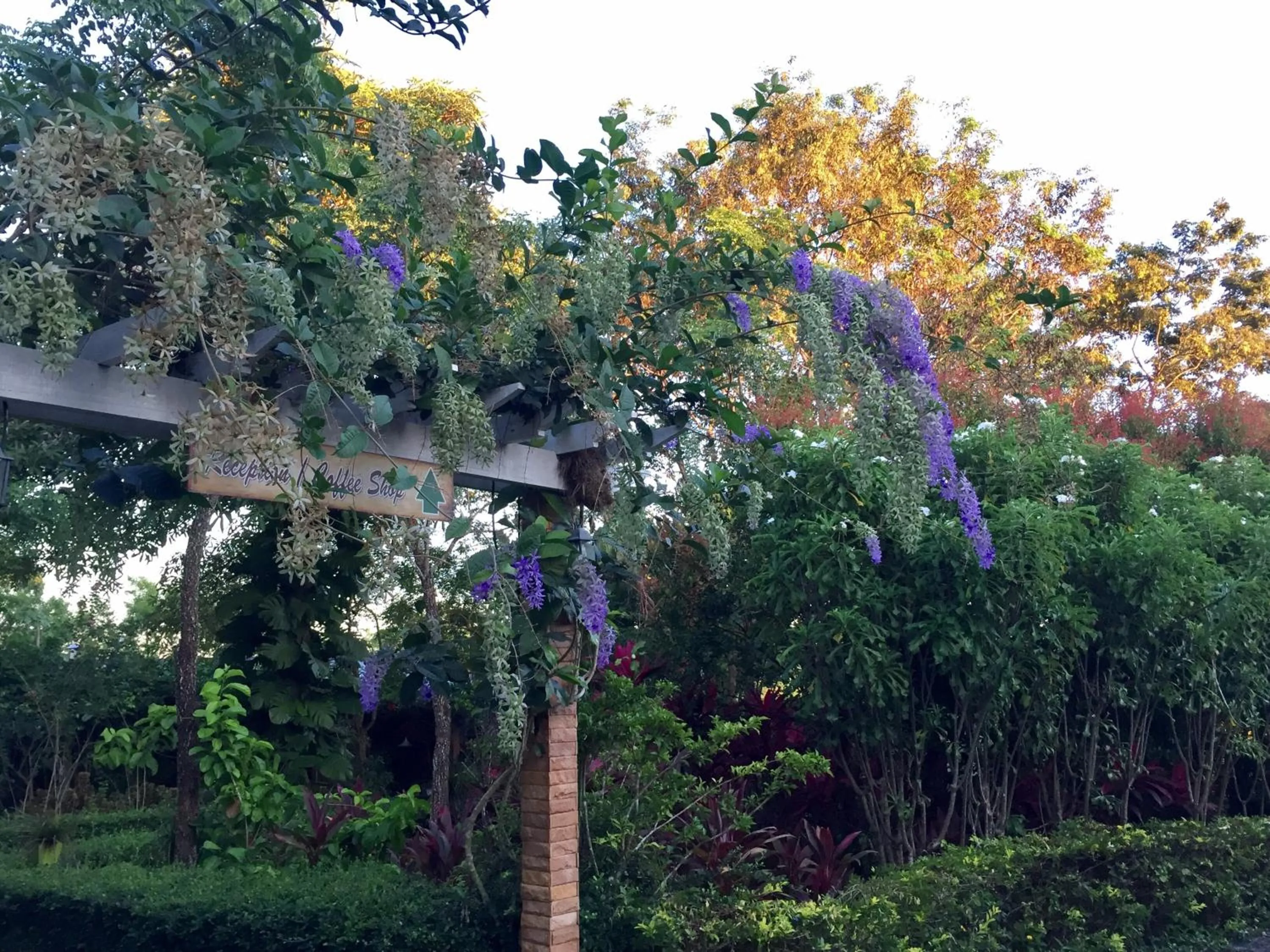 Khaoyai Nature Retreat