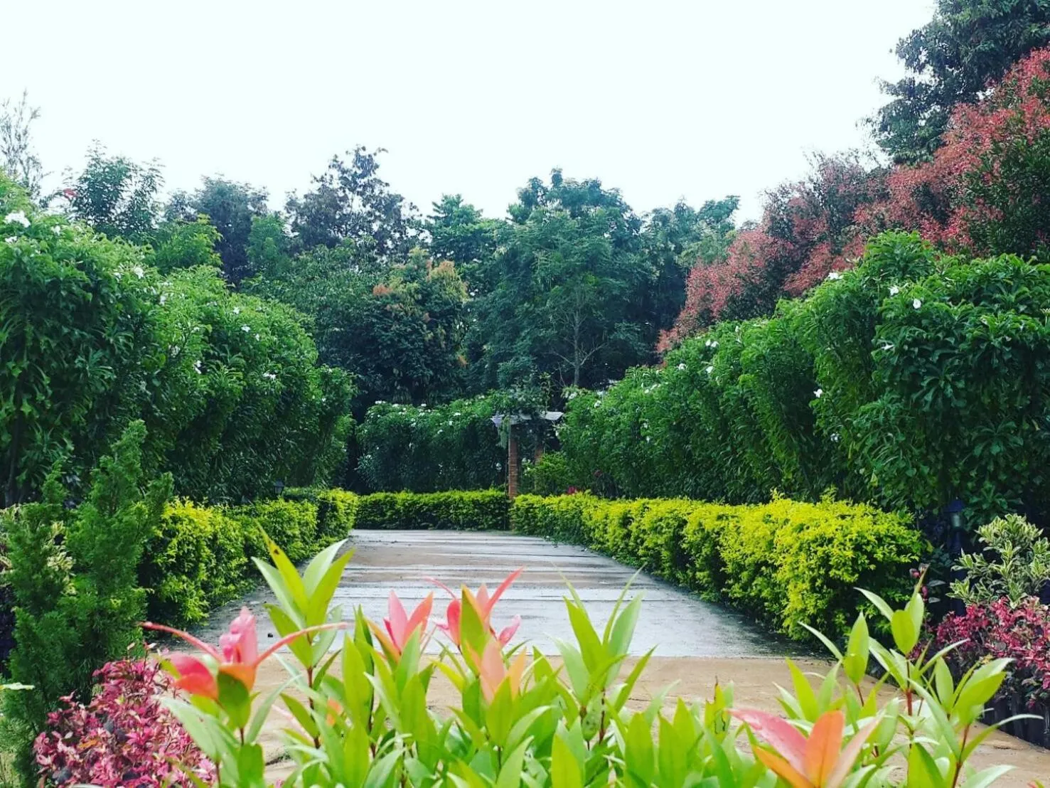 Khaoyai Nature Retreat