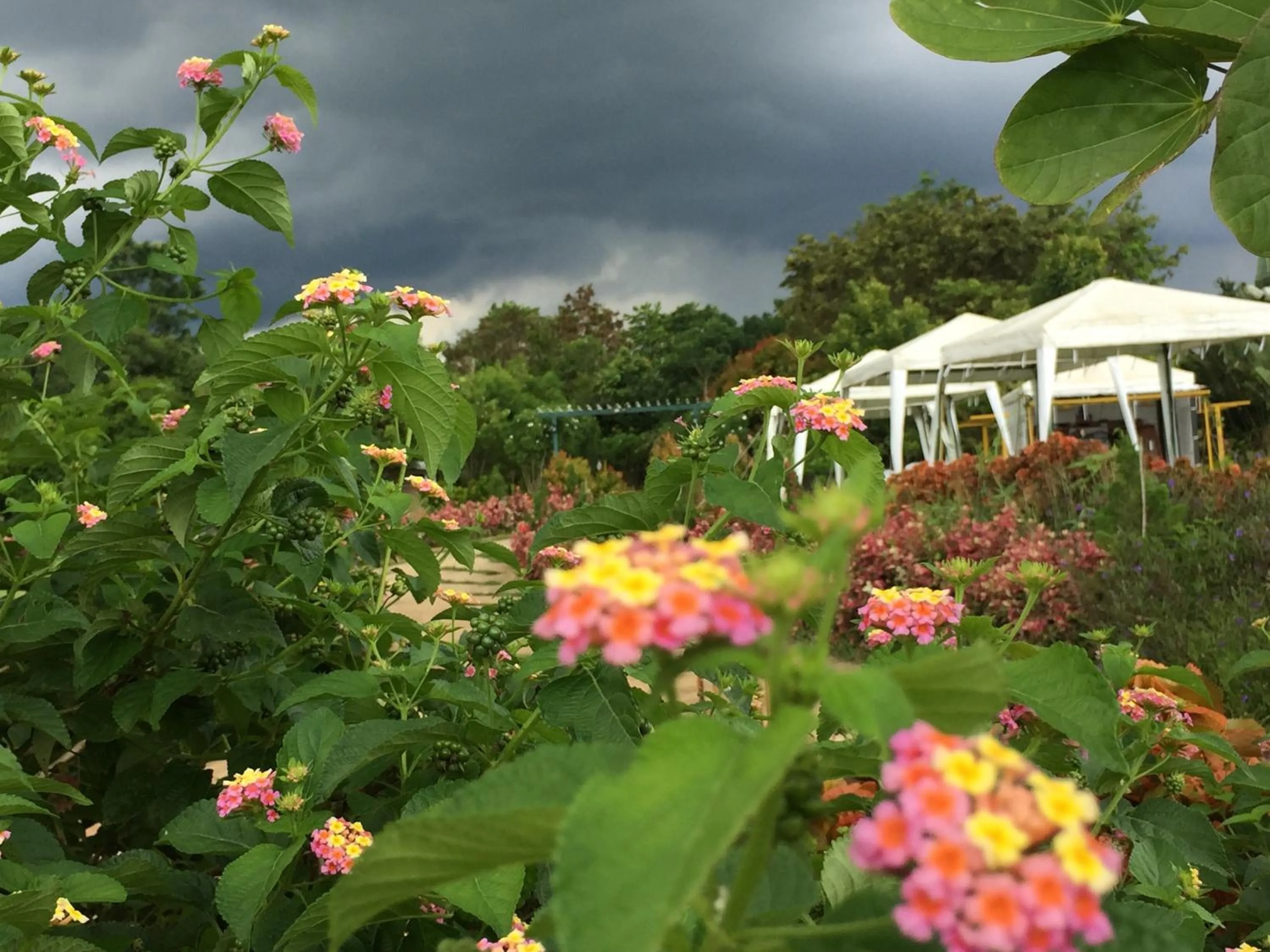 Khaoyai Nature Retreat