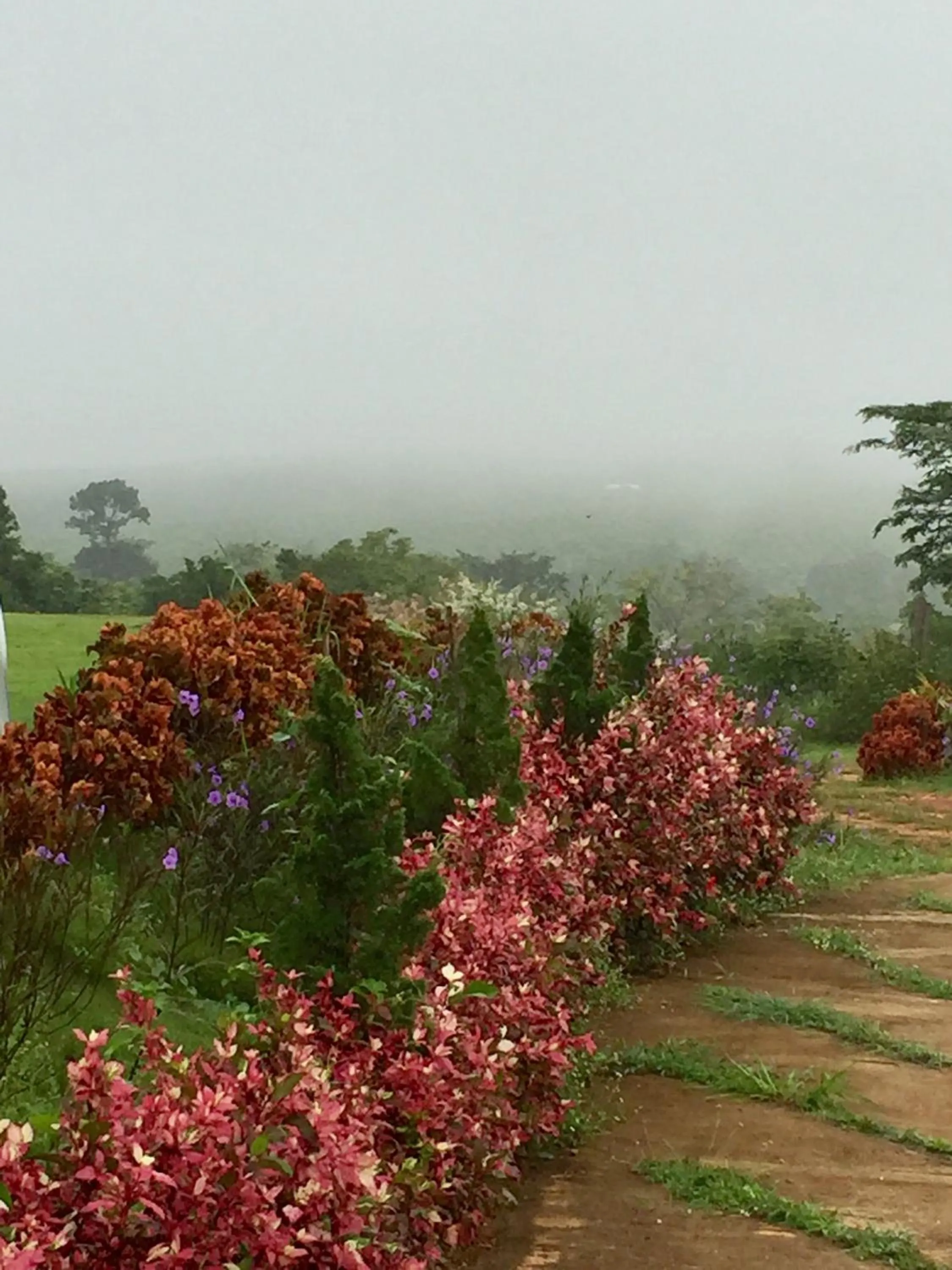 Khaoyai Nature Retreat