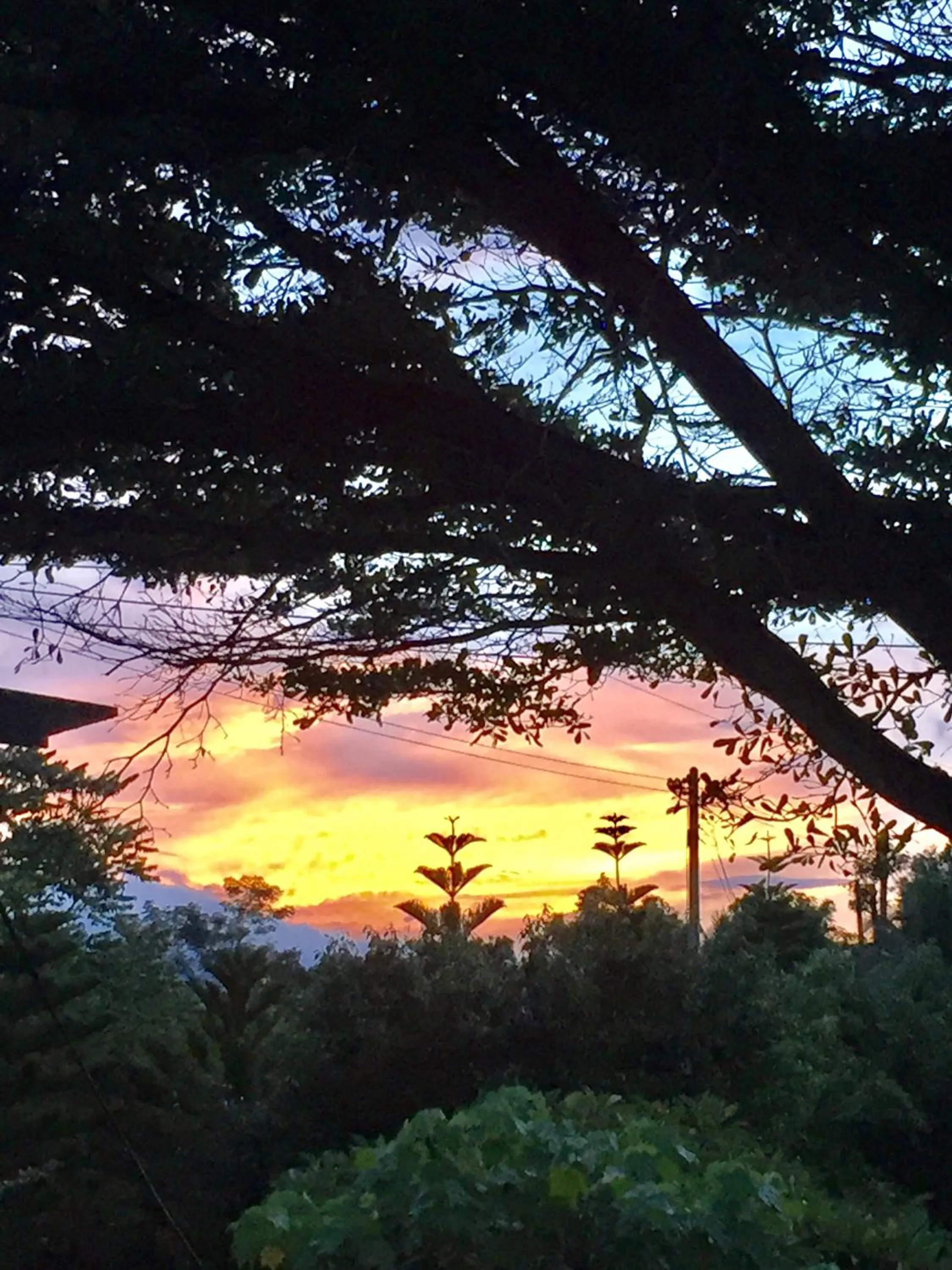 Khaoyai Nature Retreat