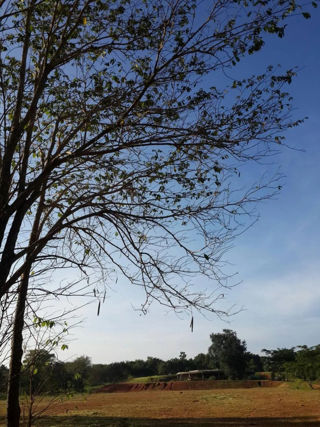 Khaoyai Nature Retreat