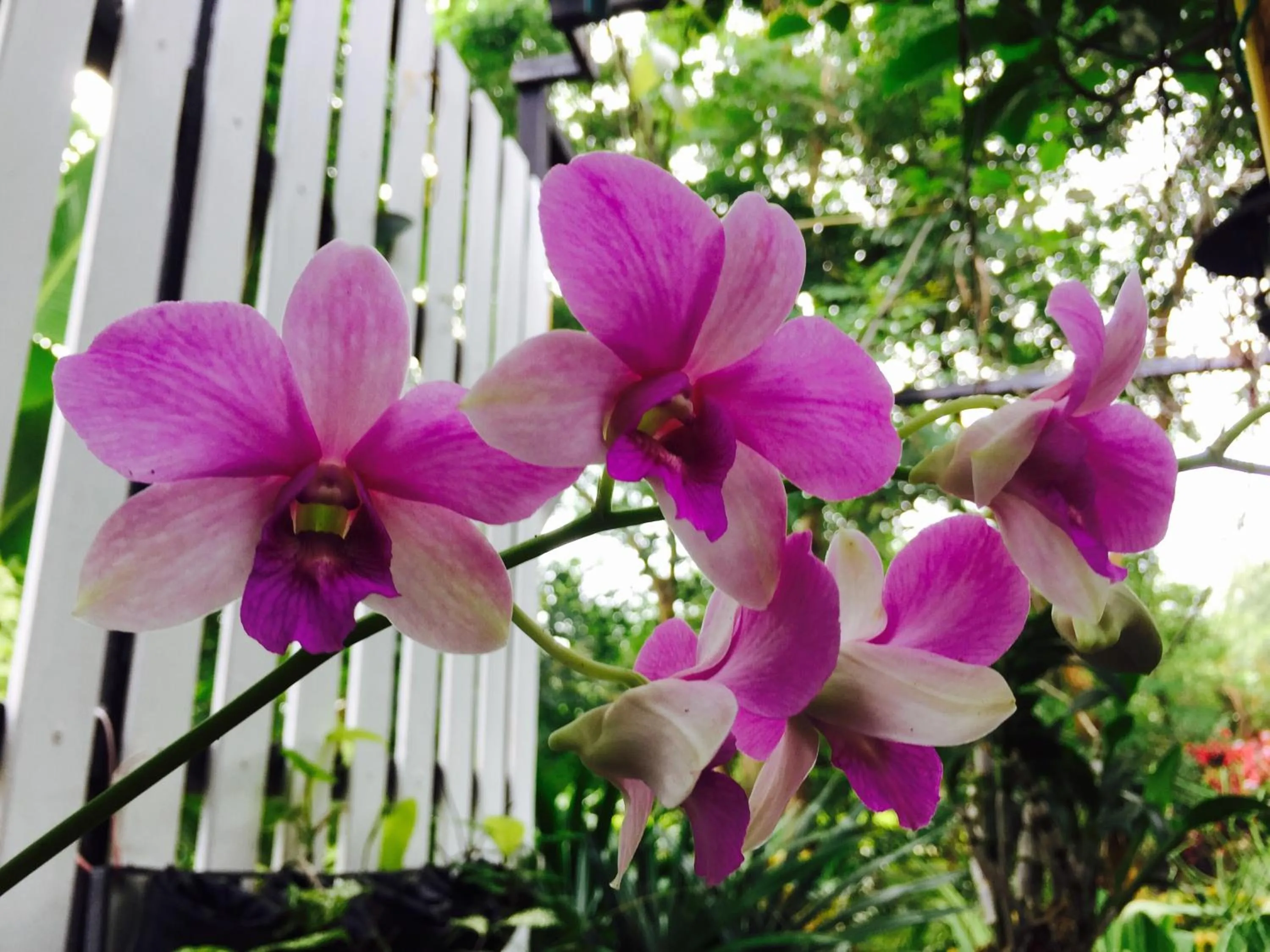 Khaoyai Nature Retreat