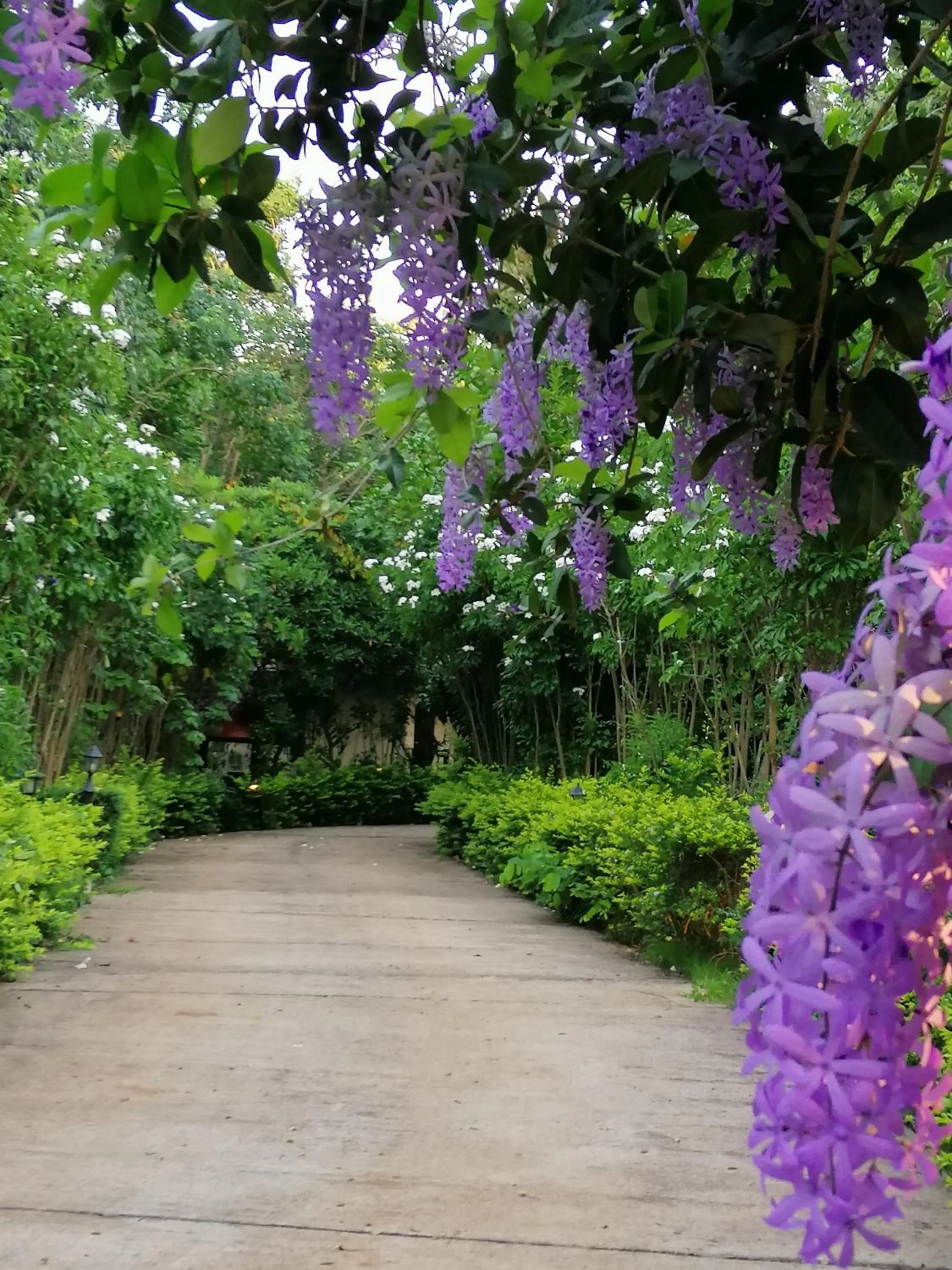 Khaoyai Nature Retreat