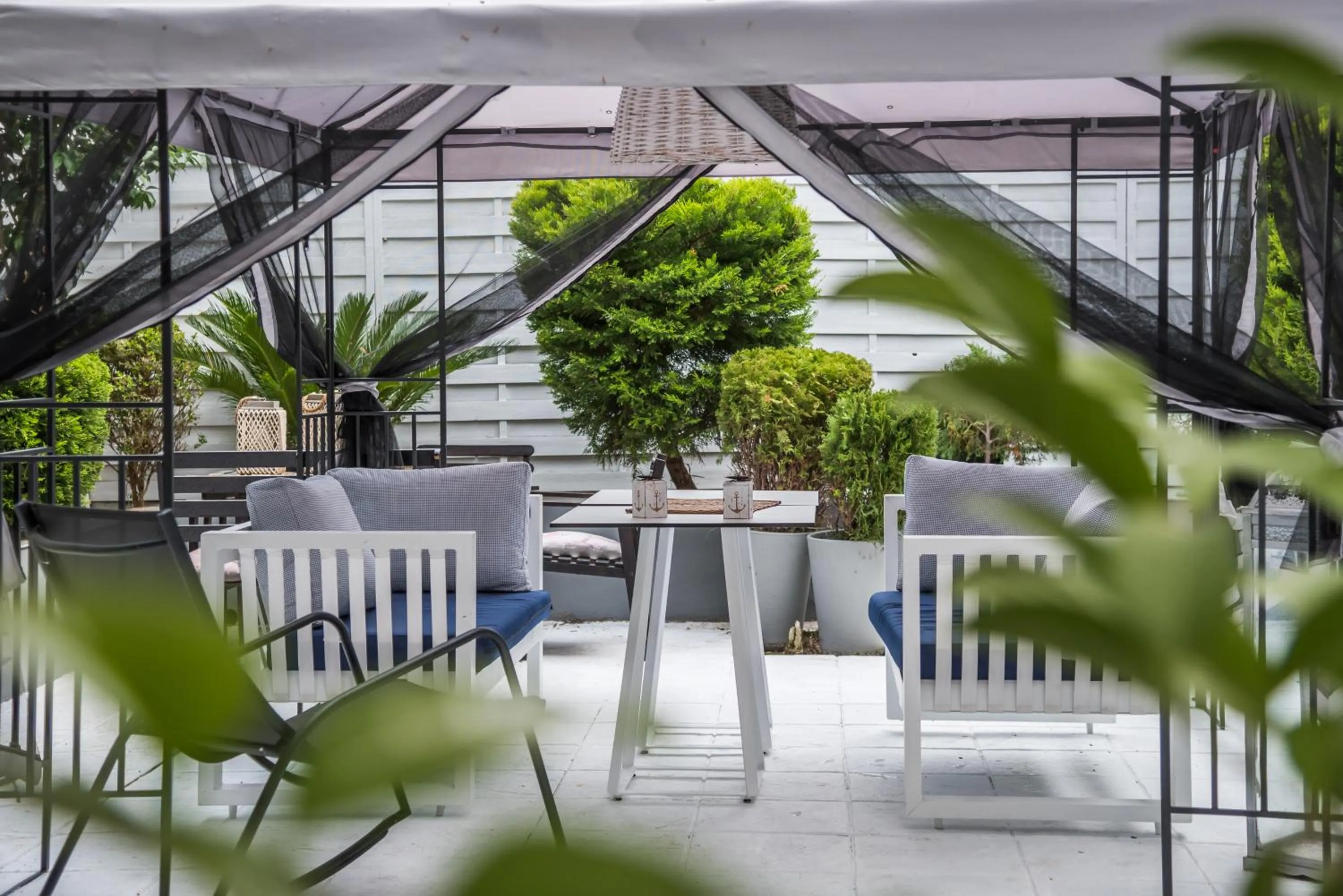 Garden in Aqua Mare Hotel