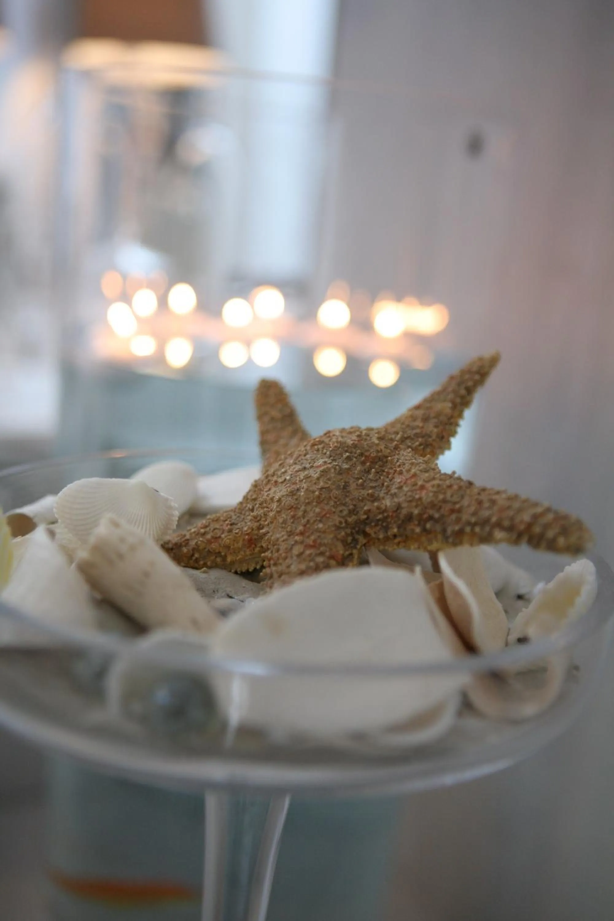 Lobby or reception in Aqua Mare Hotel