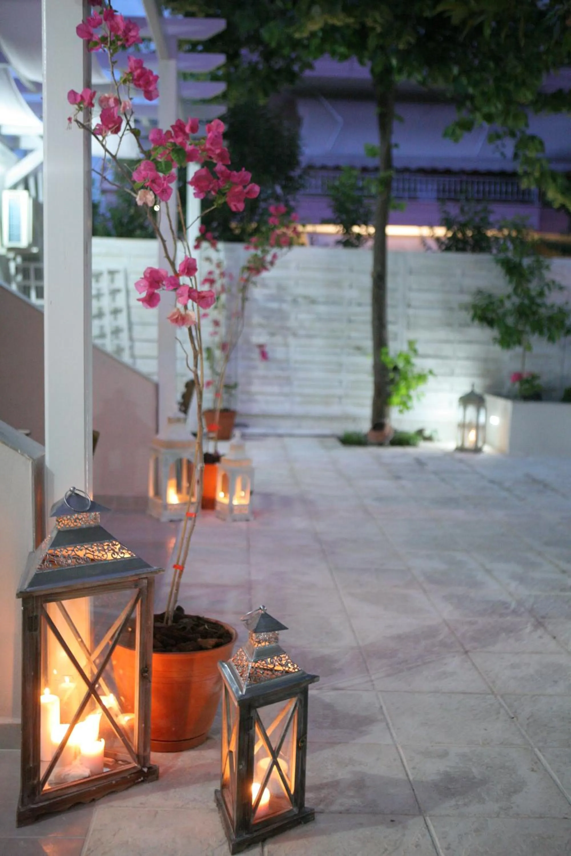 Garden in Aqua Mare Hotel