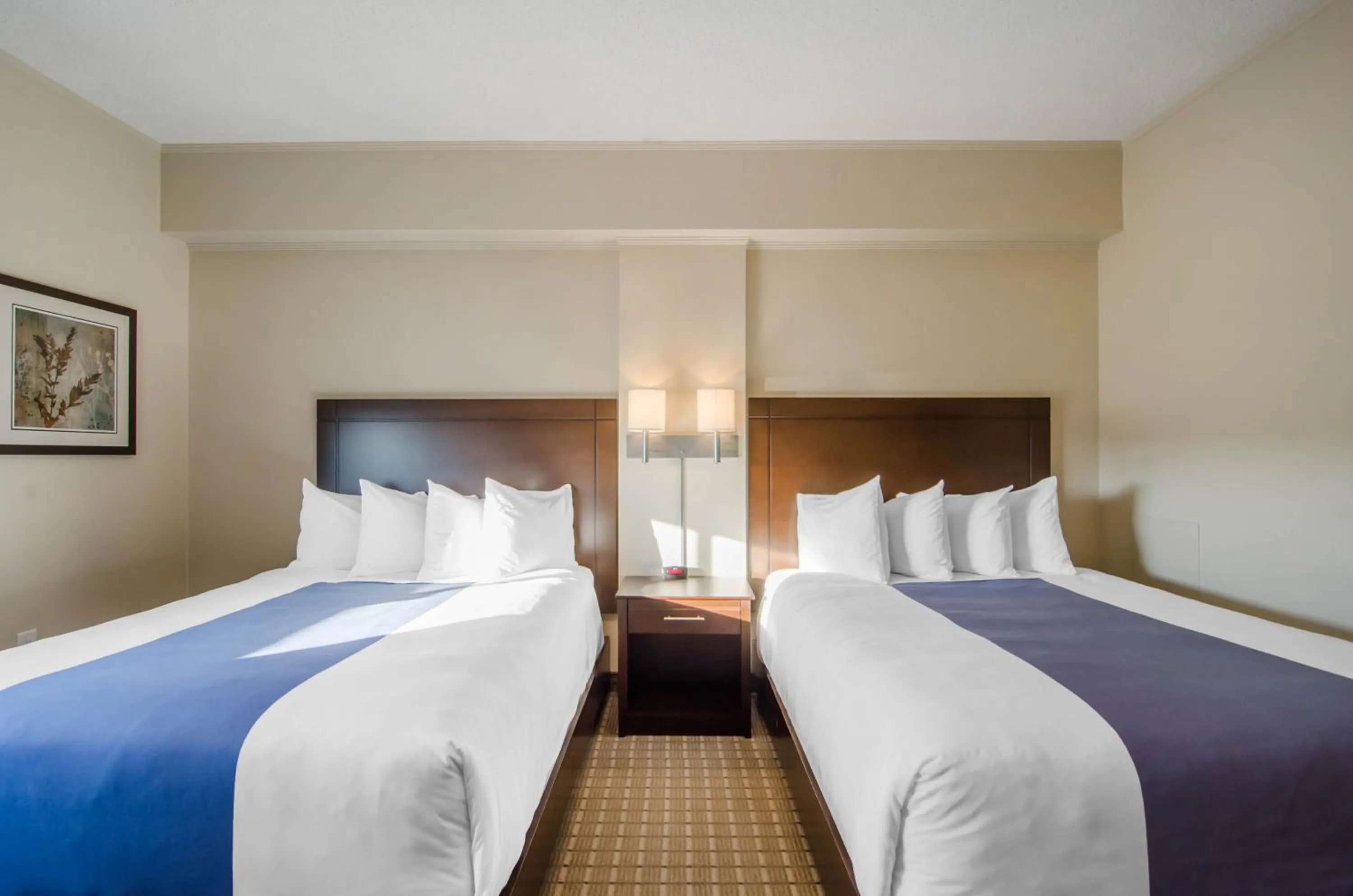 Photo of the whole room, Room Photo in Quality Inn and Suites