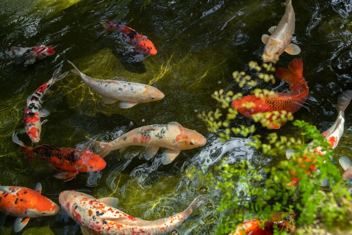 Pousada & Spa Cantos e Contos