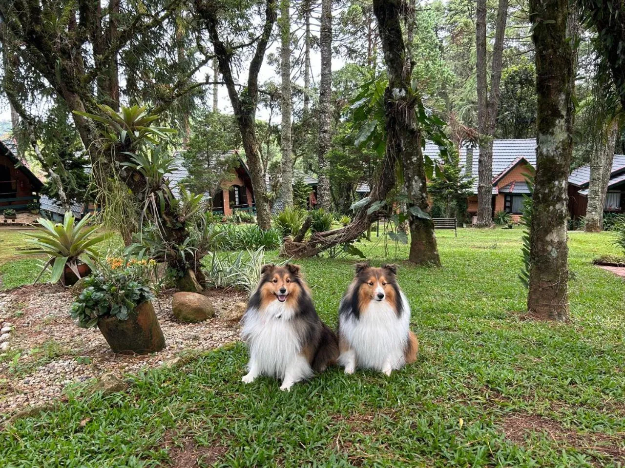 Pousada & Spa Cantos e Contos