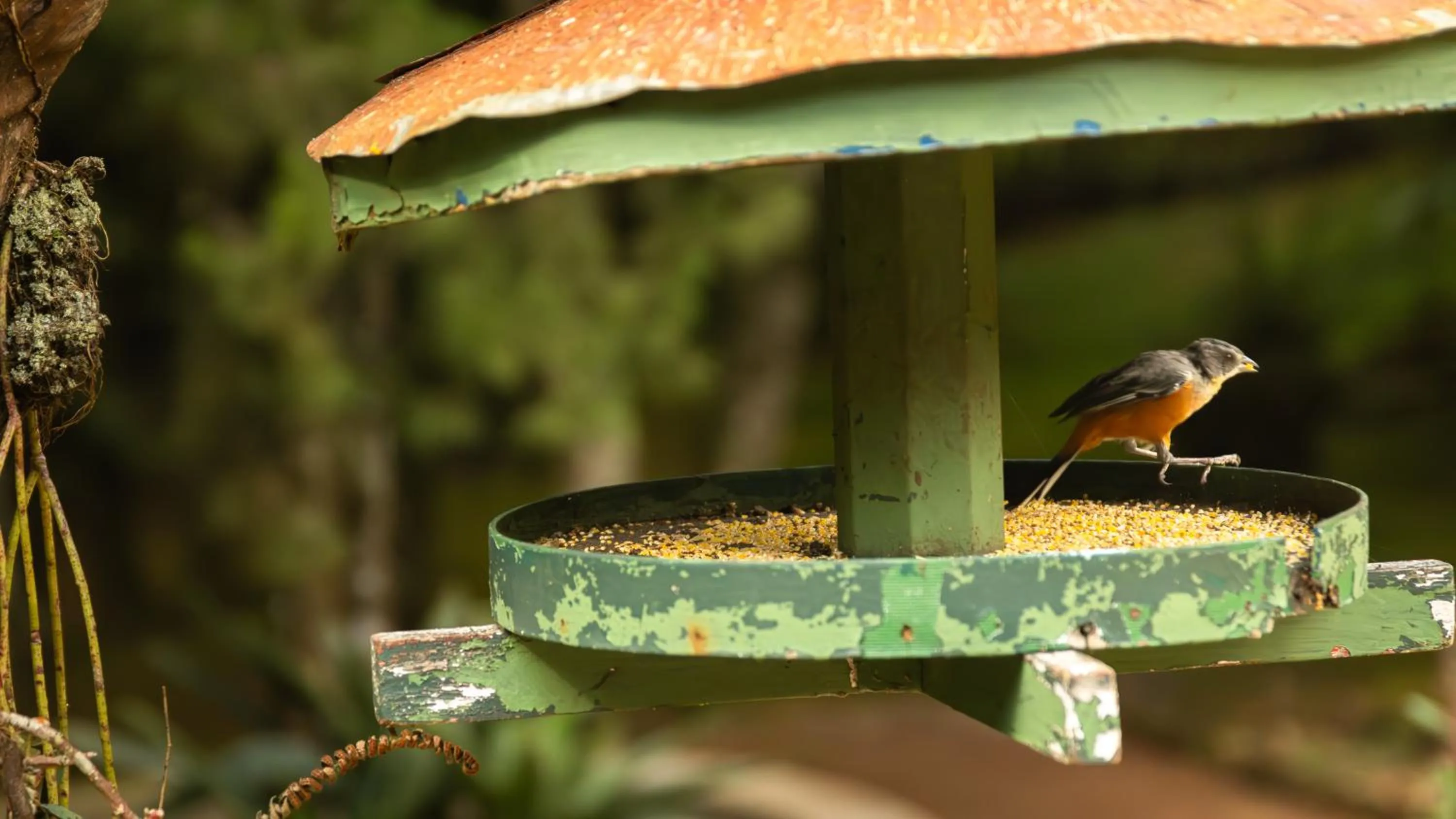 Pousada & Spa Cantos e Contos