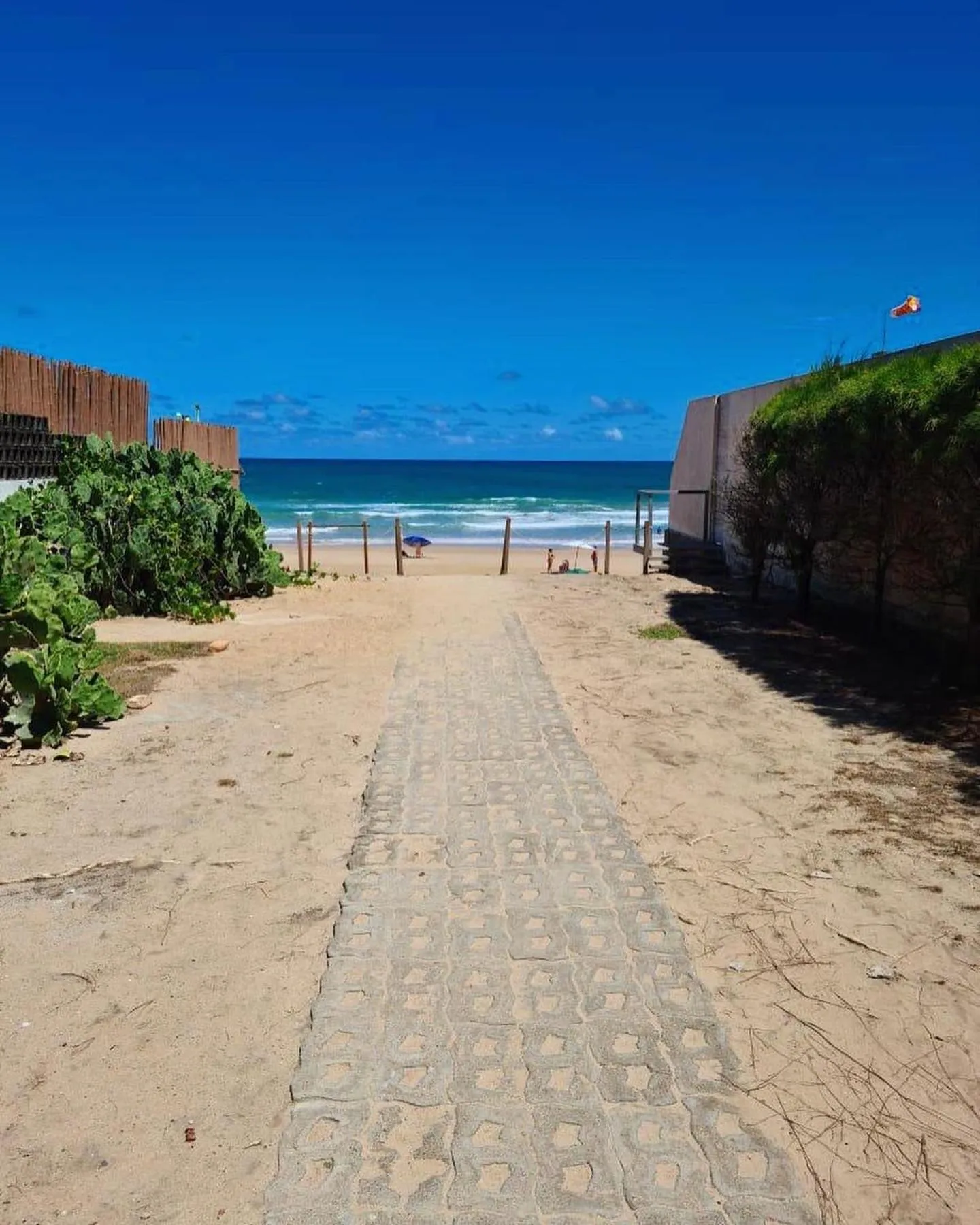 Natural landscape in Pousada Uba-Rio Porto de Galinhas