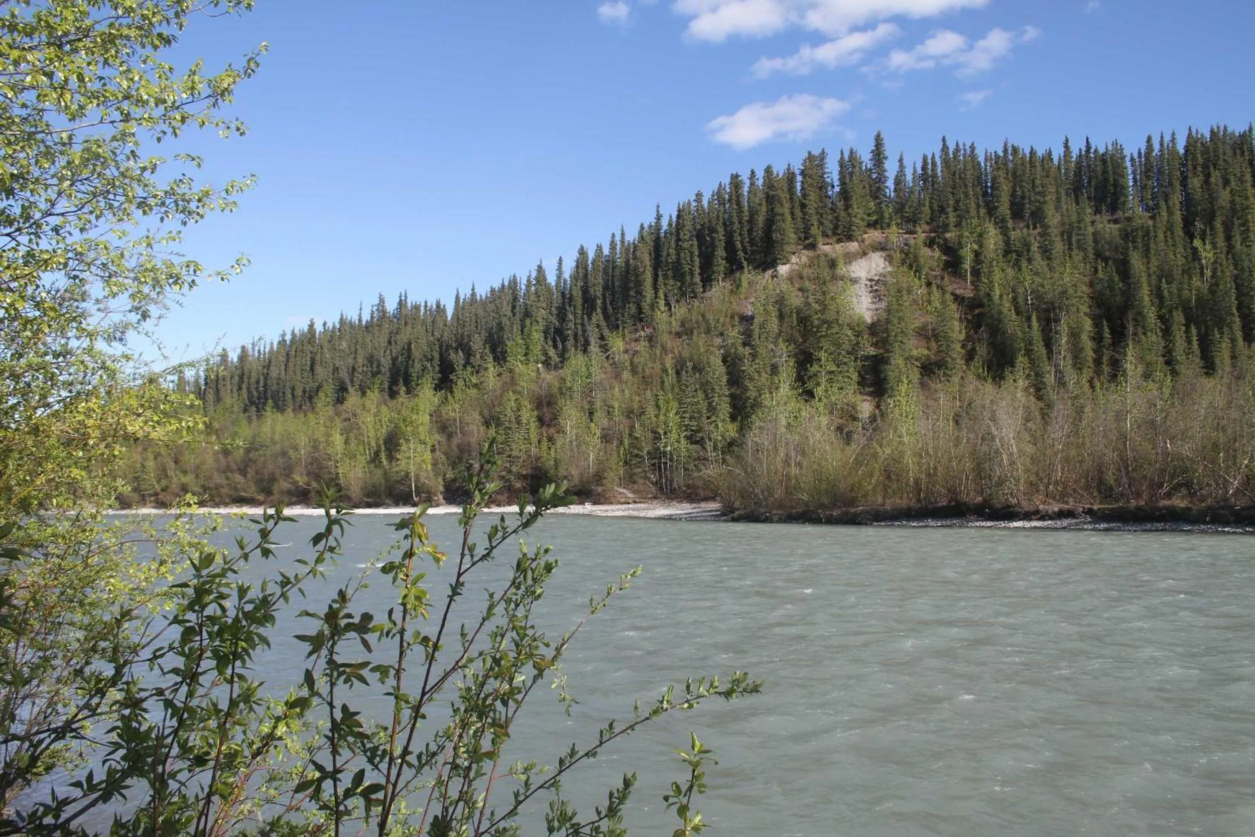 Uncle Nicolai's Inn B&B