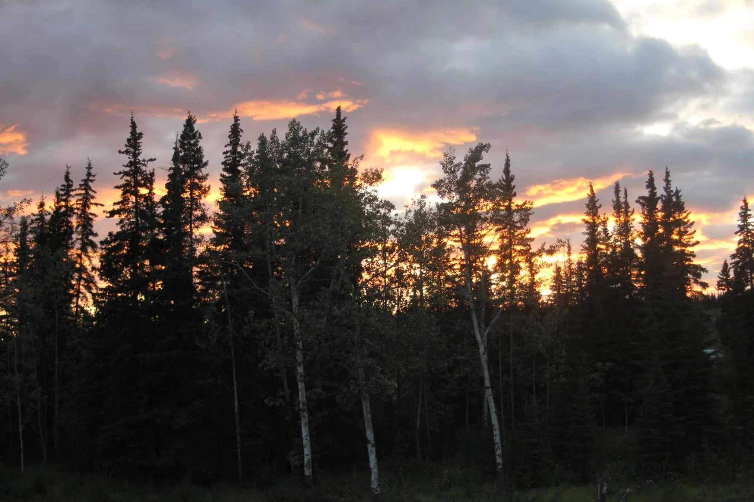 Uncle Nicolai's Inn B&B