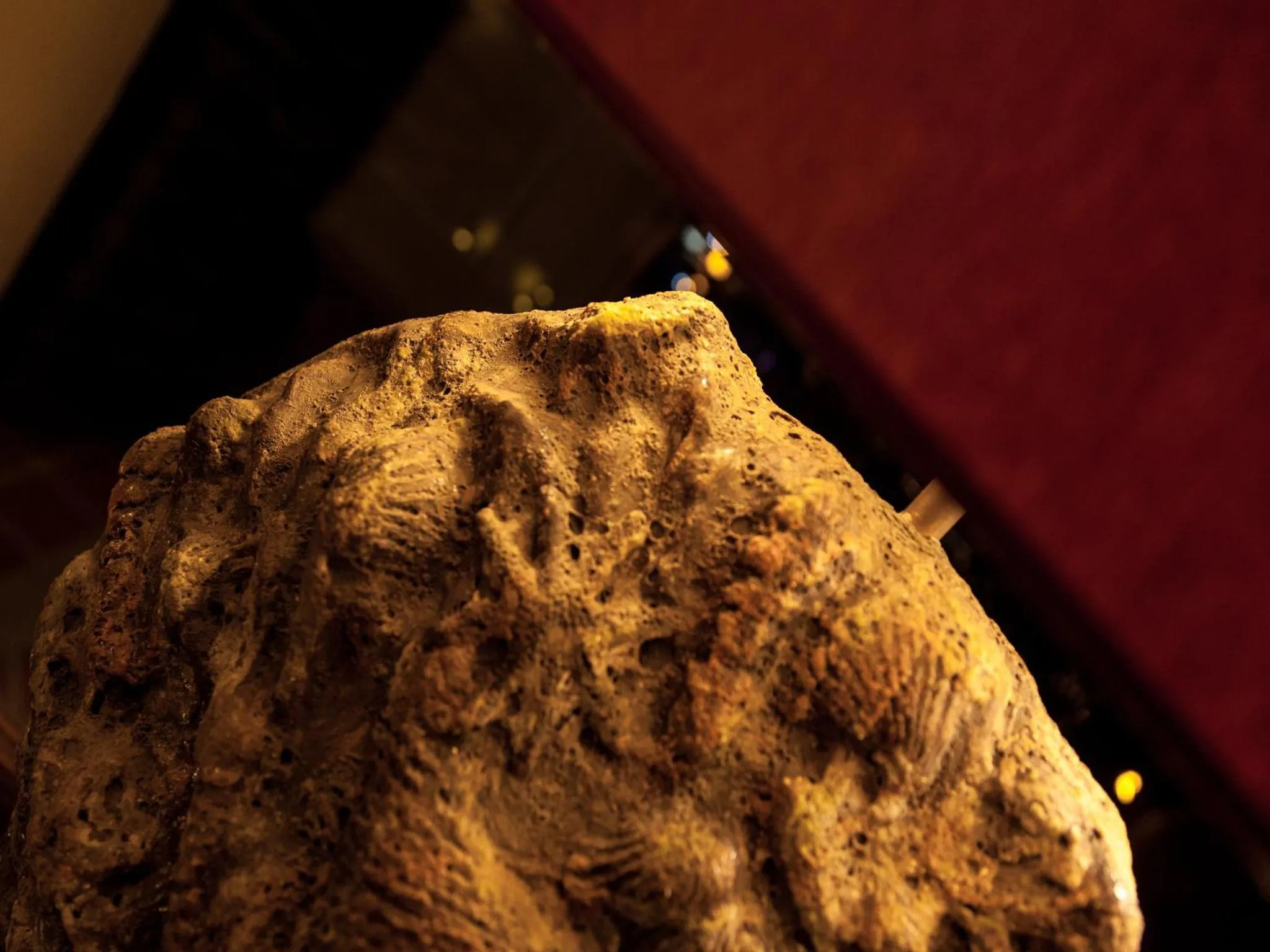 Other in Hotel Costa dei Fiori