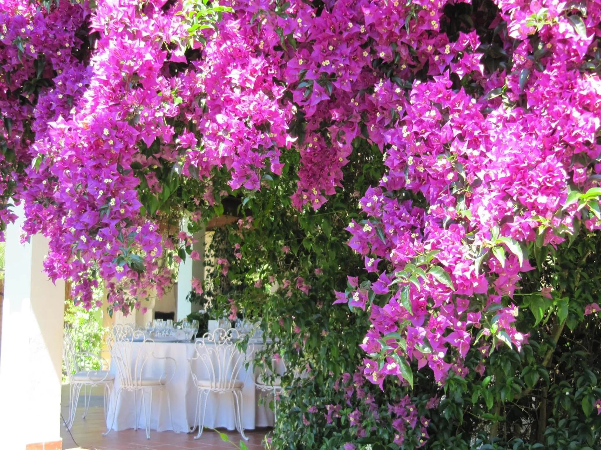 Other in Hotel Costa dei Fiori