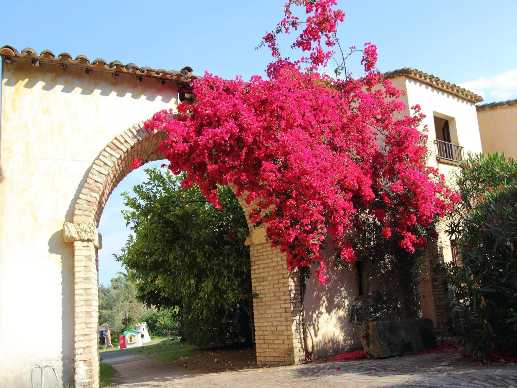 Facade/entrance in Hotel Costa dei Fiori