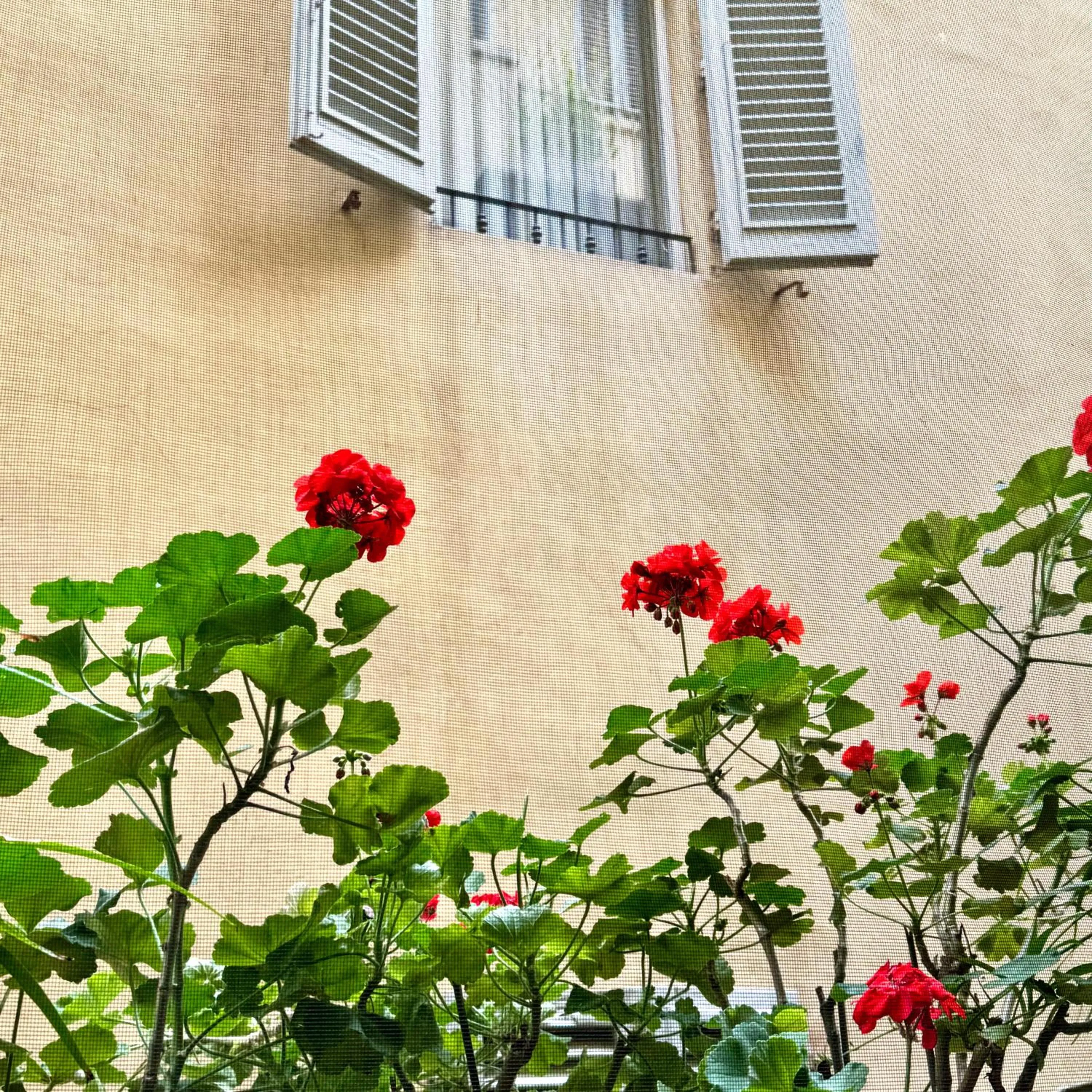 Decorative detail in Hotel Cestelli