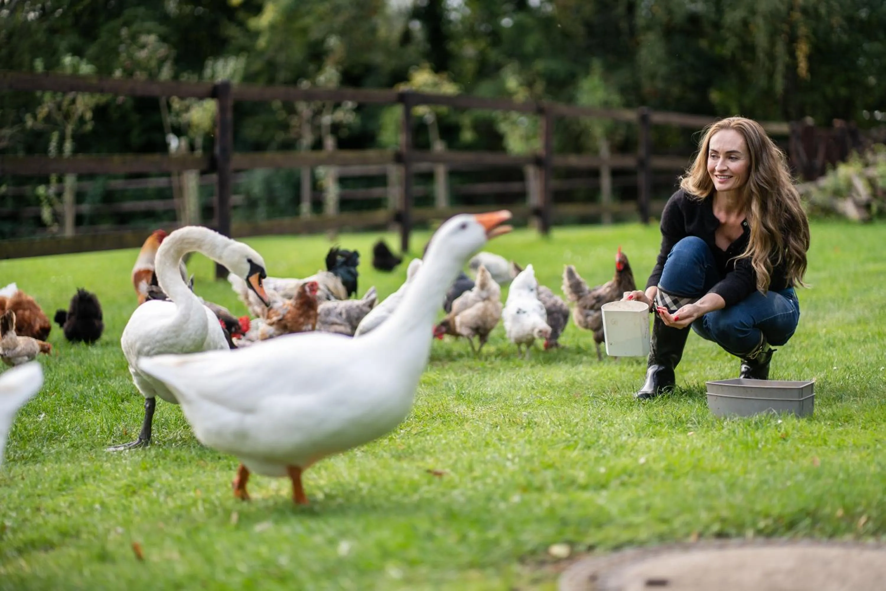 Animals in SCHLOSSRESIDENZ - Boutique Apartments & Hotel Suiten