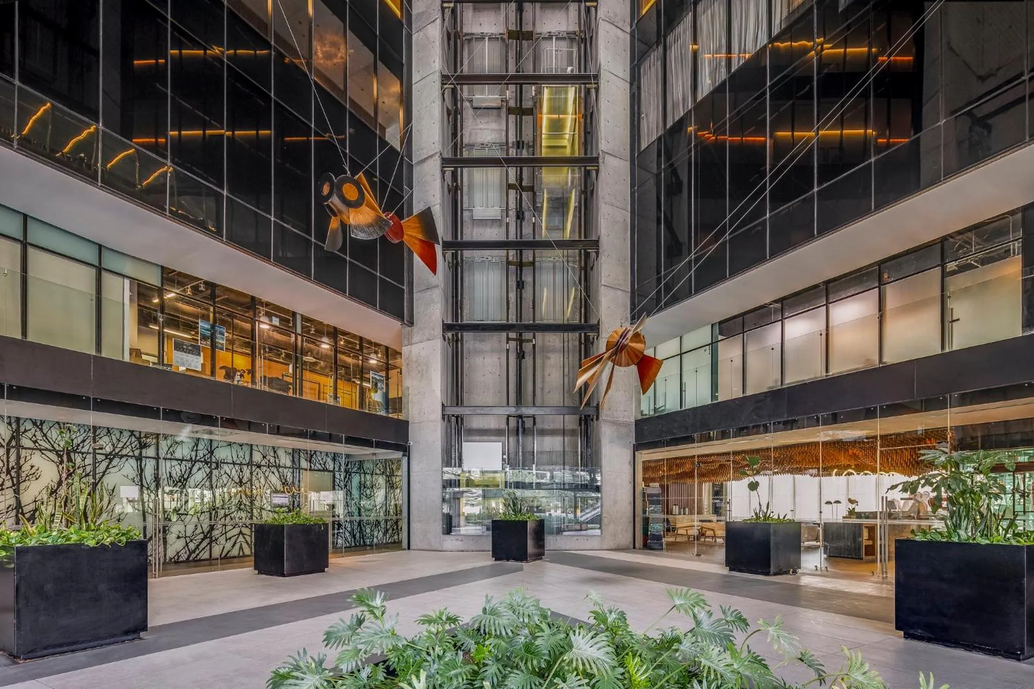 Restaurant/places to eat in Live Aqua Monterrey