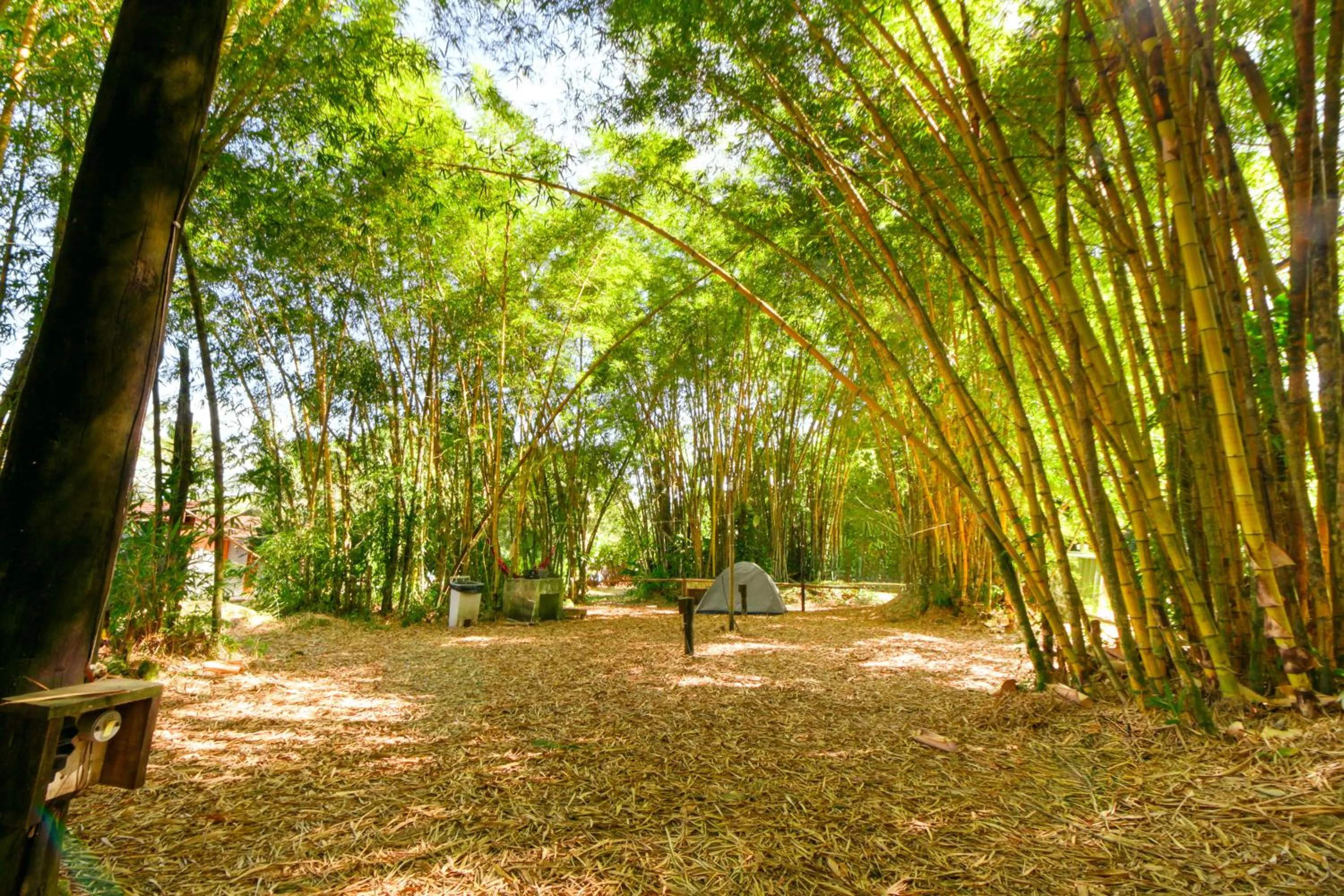 Natural landscape in Camping & Cabanas Ilhabela