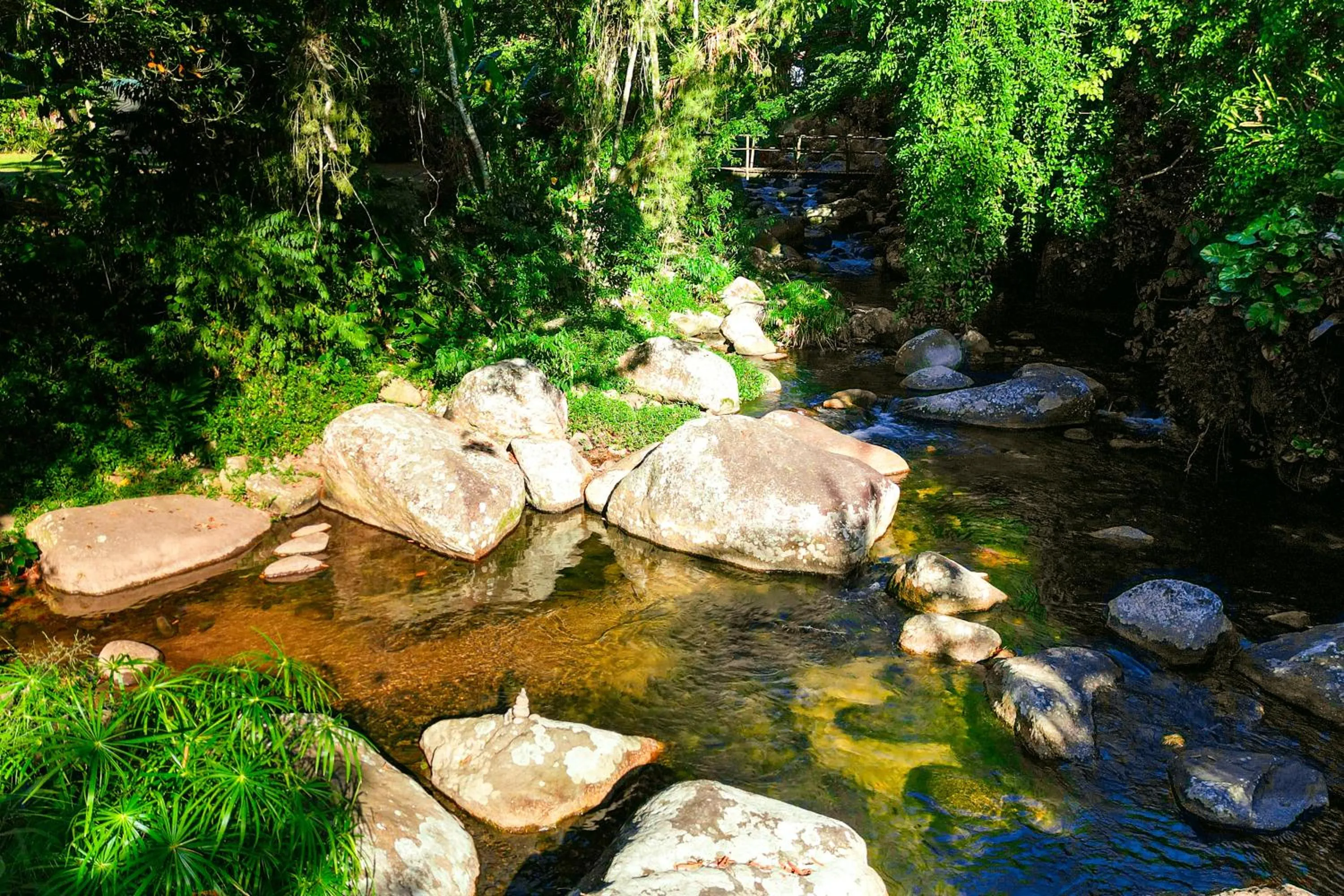 Natural landscape in Camping & Cabanas Ilhabela