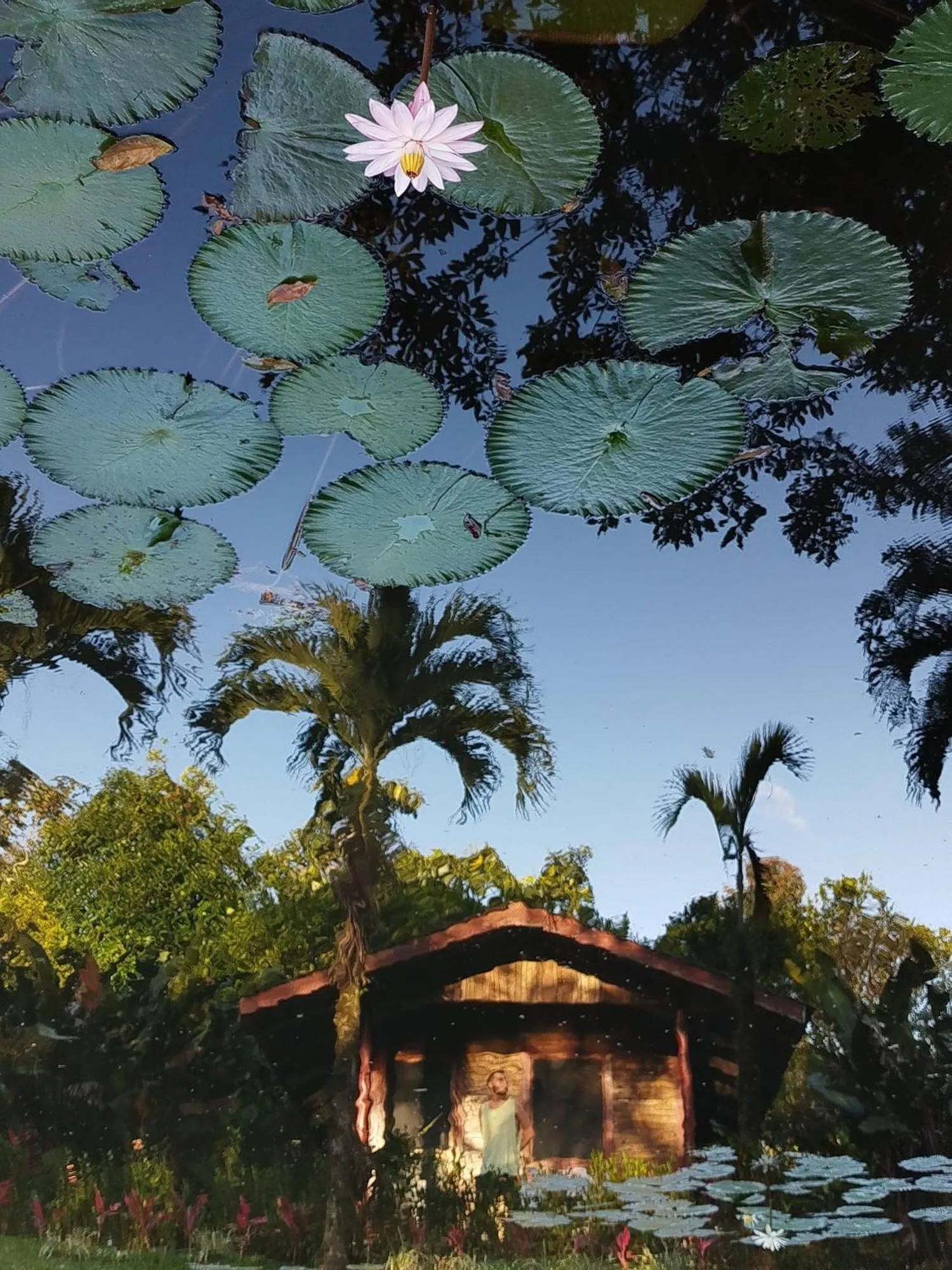 Rincon Verde